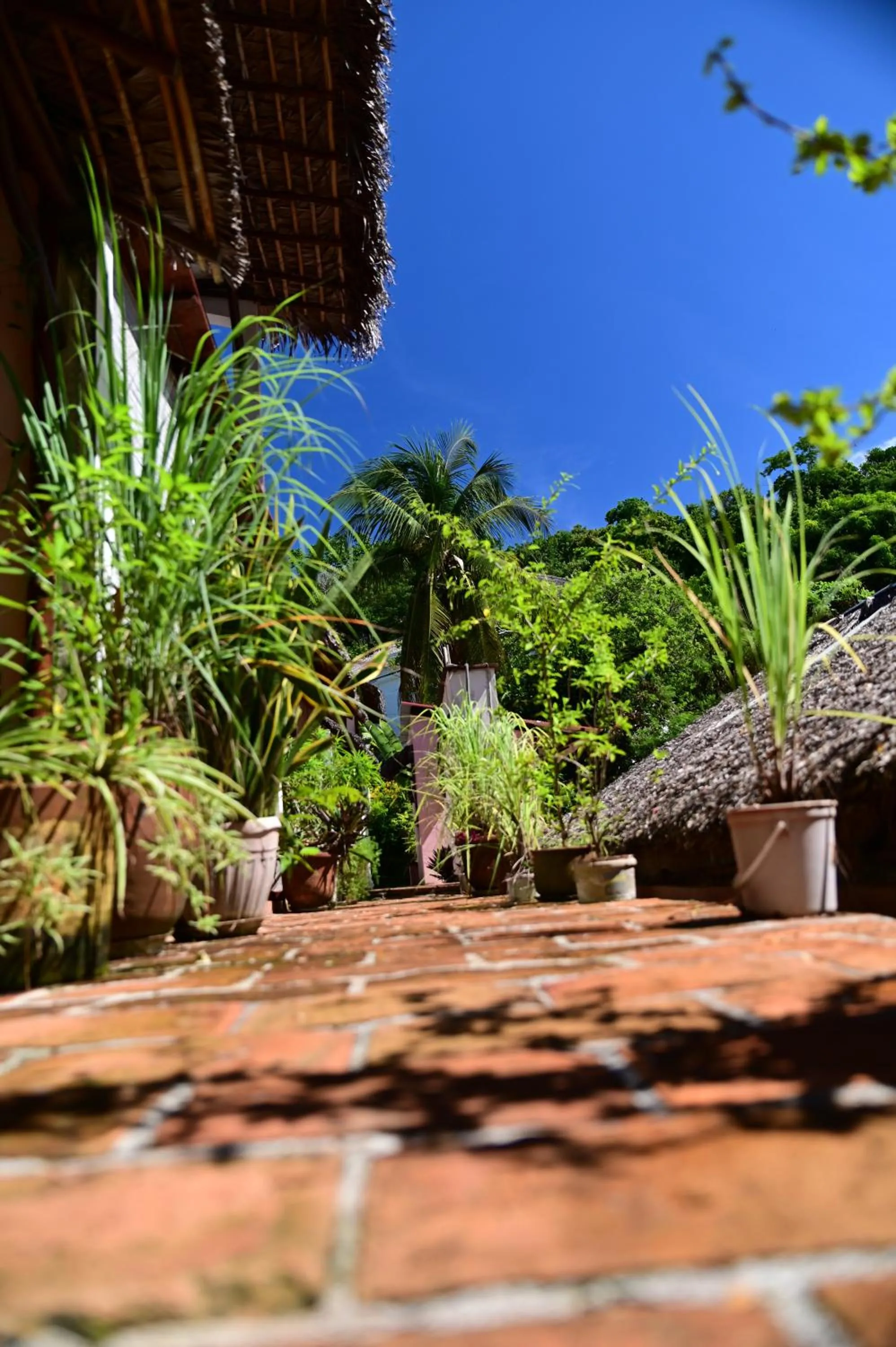 Area and facilities in Hotel Les Boucaniers