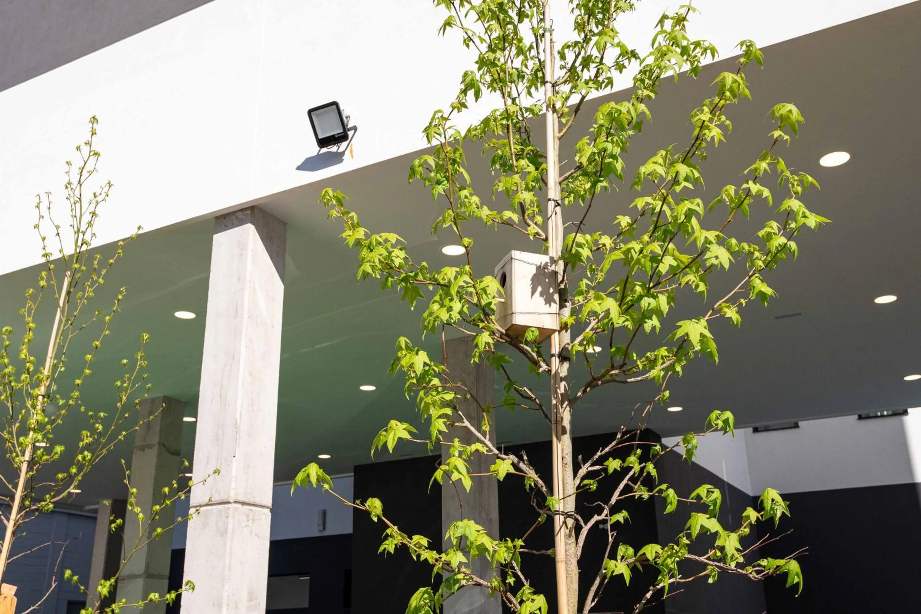 Other in easyHotel Madrid Alcala