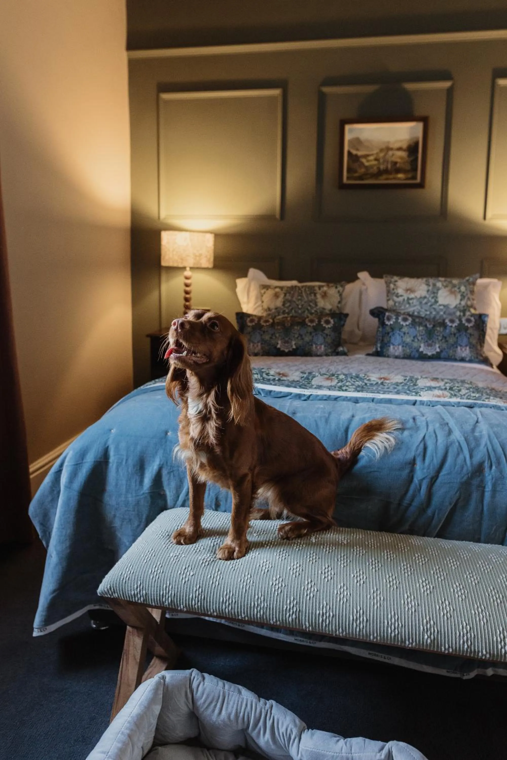 pet friendly in Cartmel Old Grammar