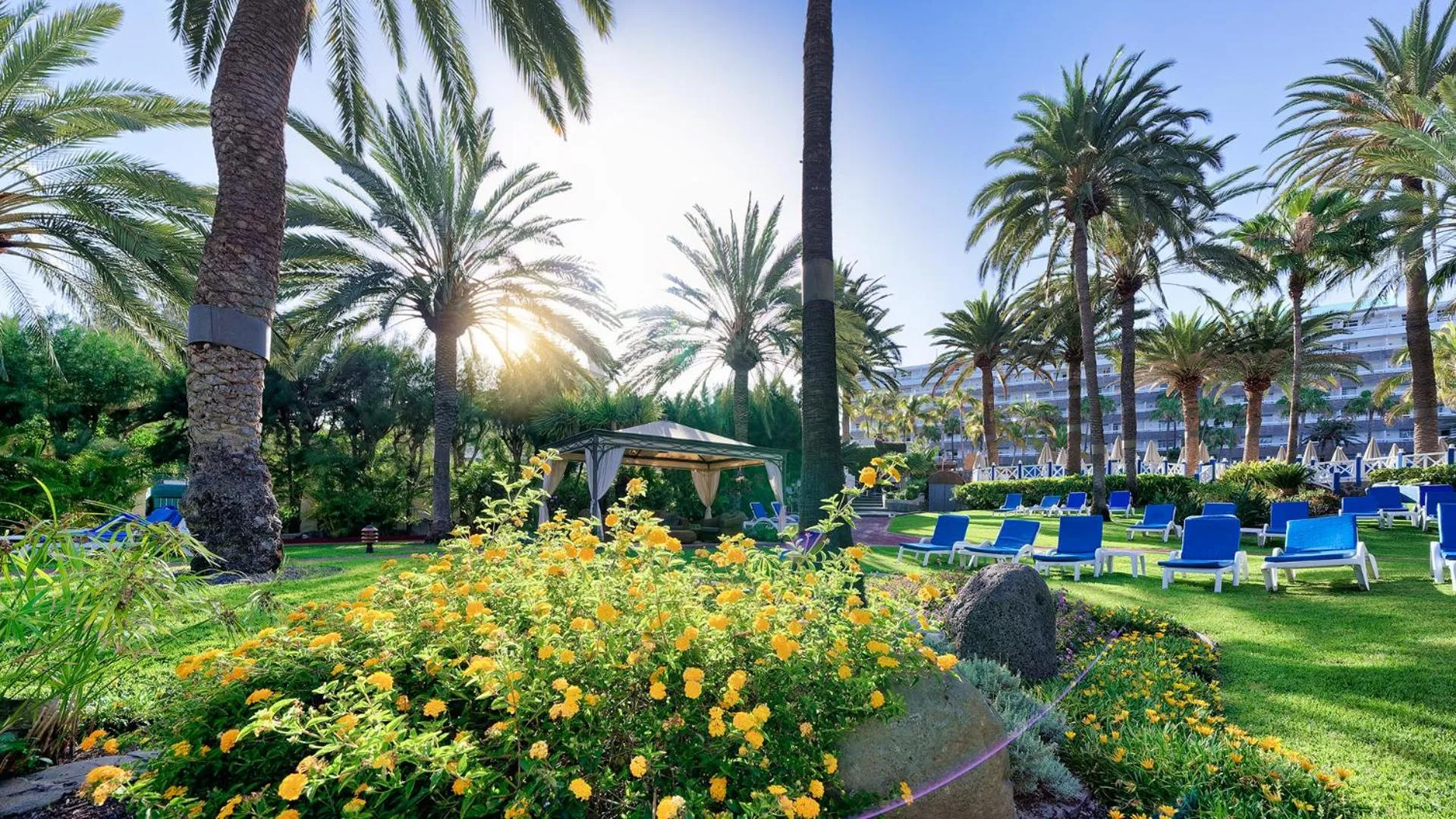 Garden in Bull Costa Canaria & SPA - Only Adults
