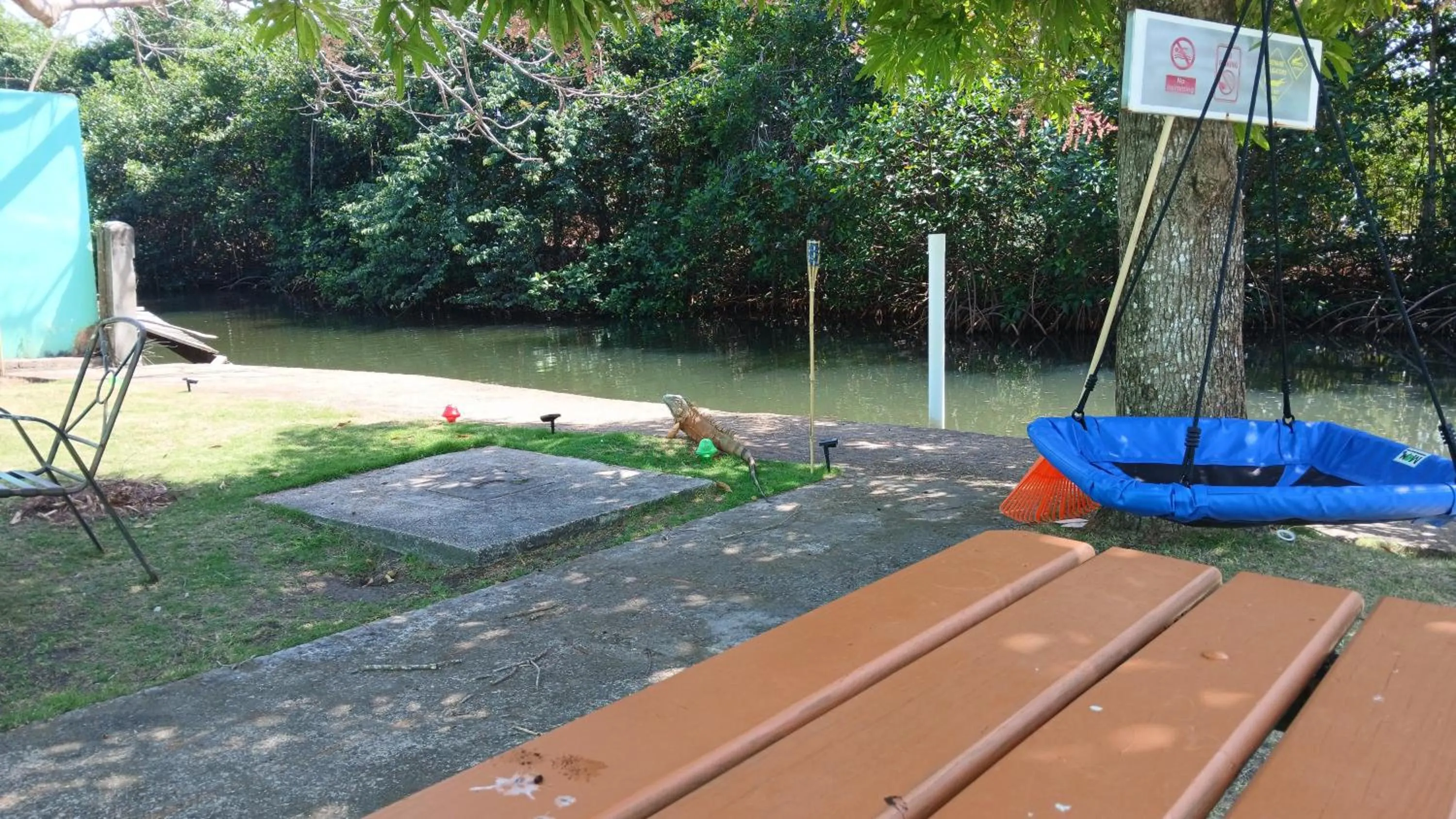 Animals in Bamboleo Inn