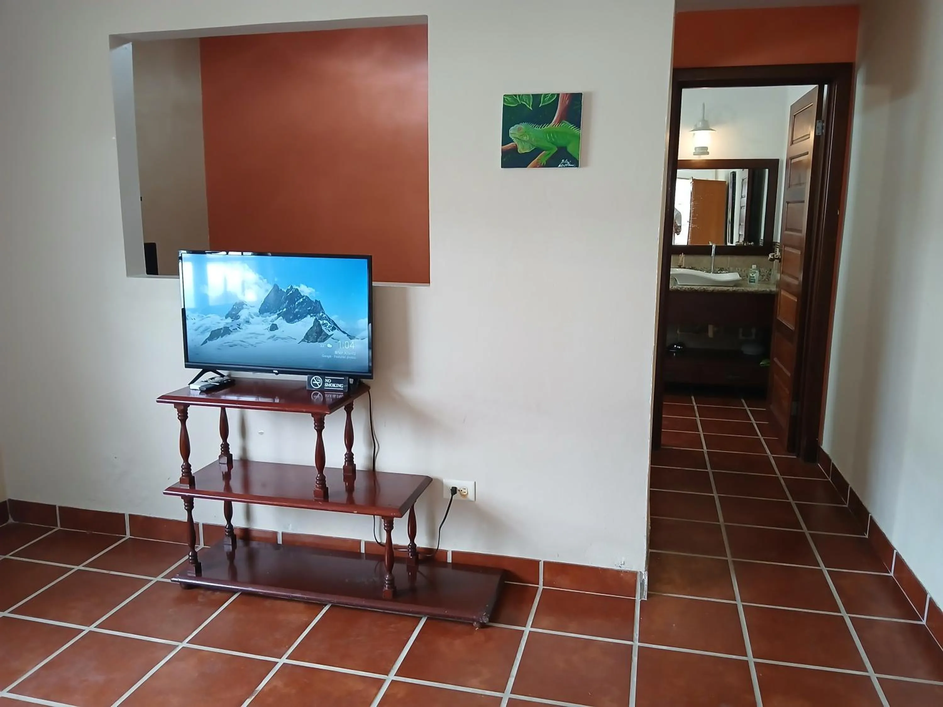 TV and multimedia in Bamboleo Inn