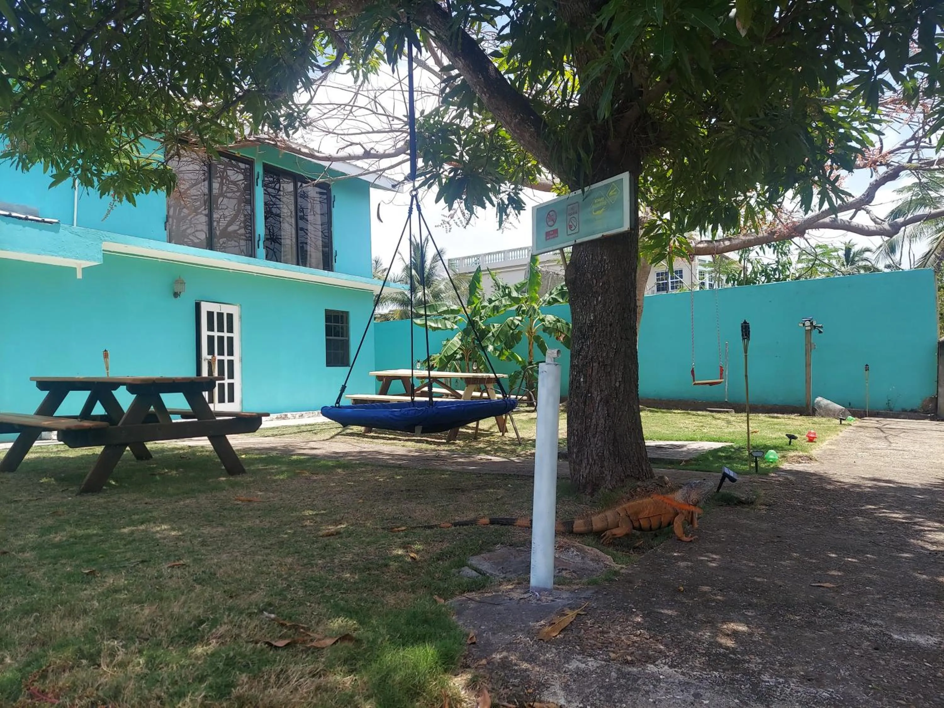 Natural landscape in Bamboleo Inn
