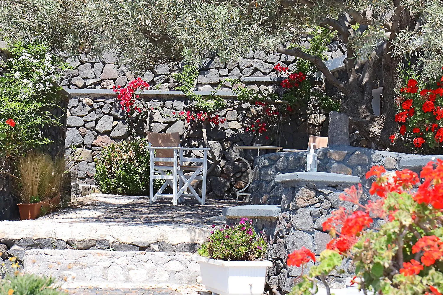 Spring in Phaos Santorini Suites