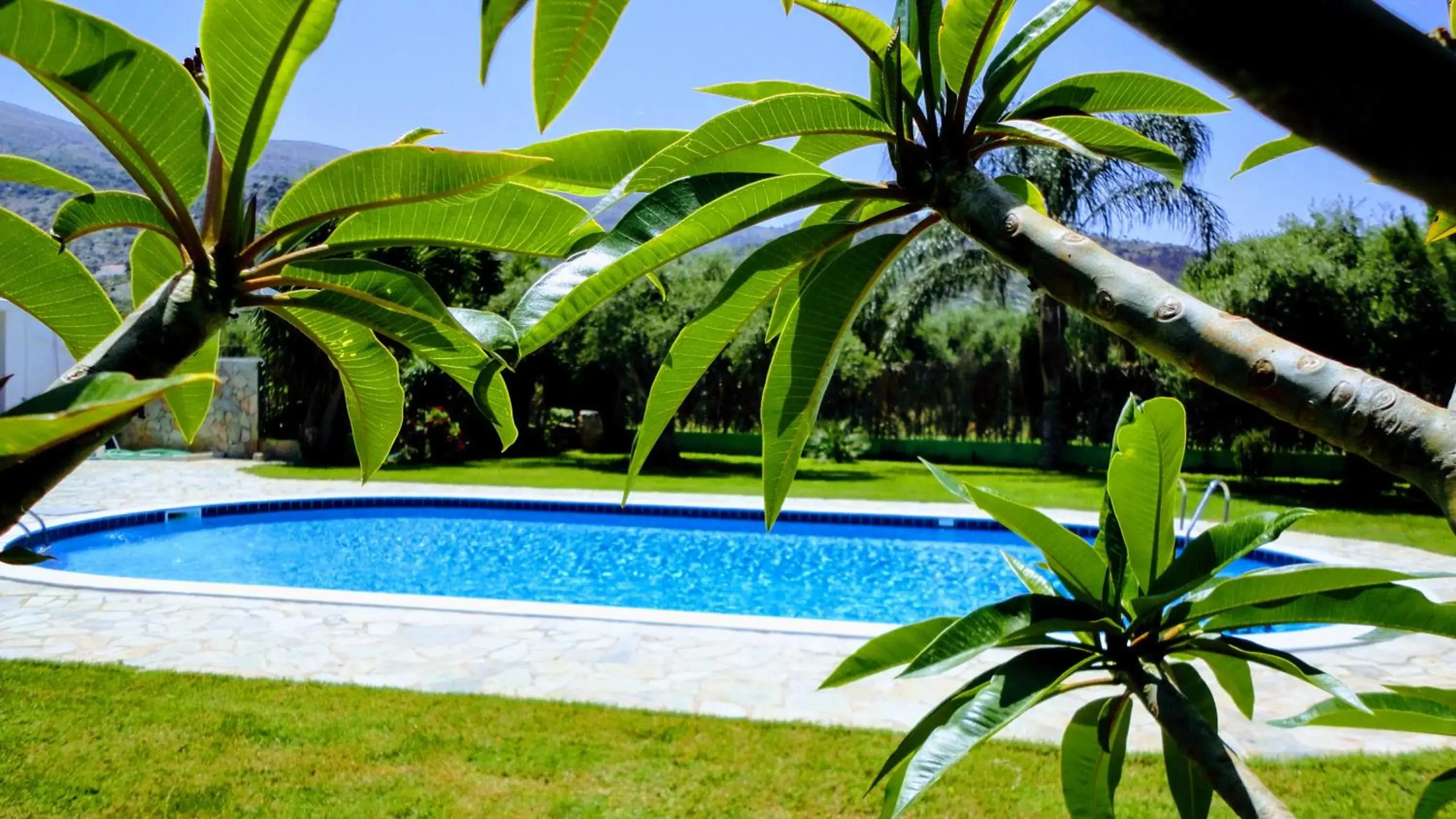 Swimming pool in Ibiscus Hotel Malia Swimming pool in Ibiscus Hotel Malia
