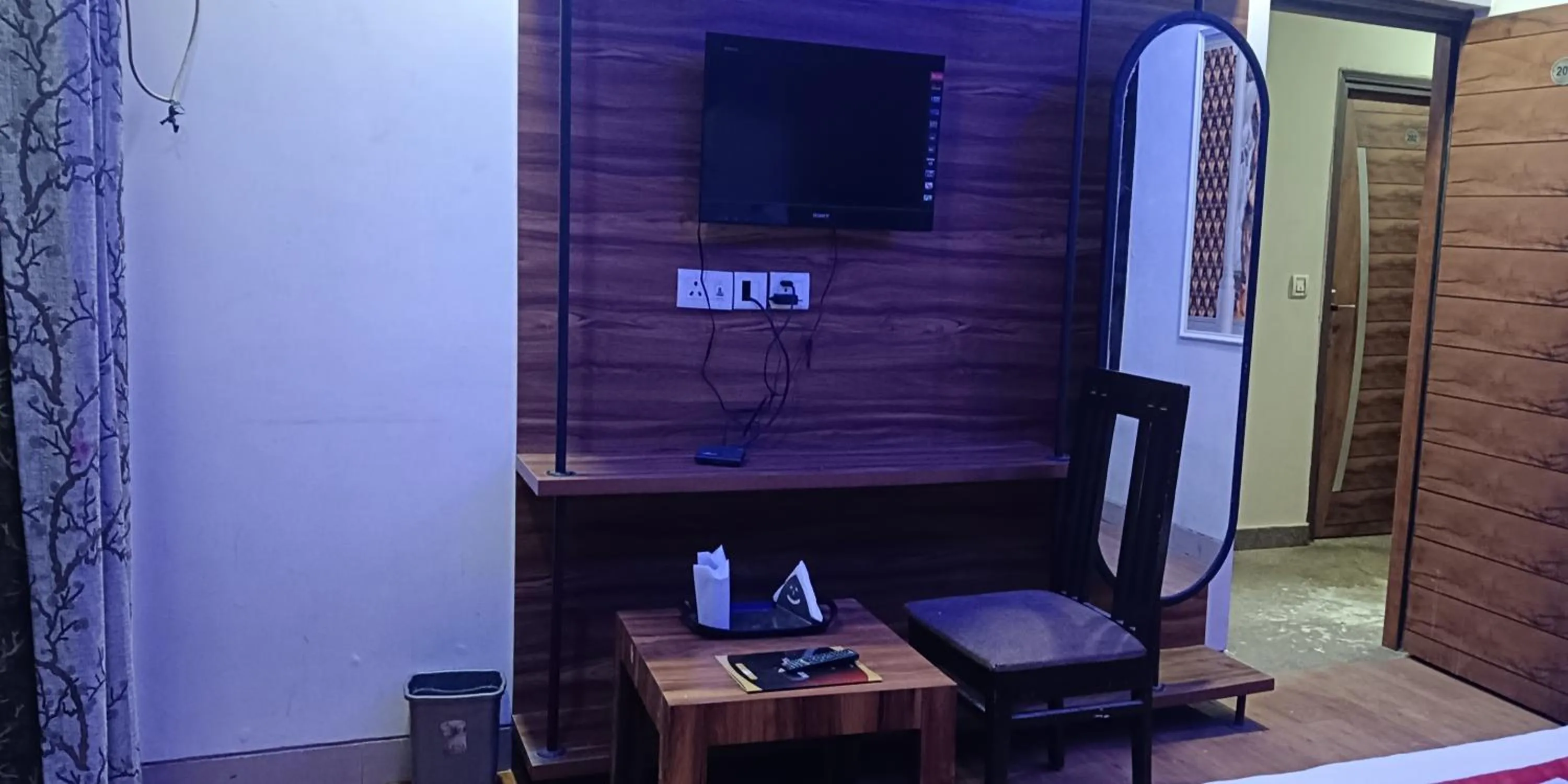 TV and multimedia in Hotel RTS Plaza Near IGI Airport