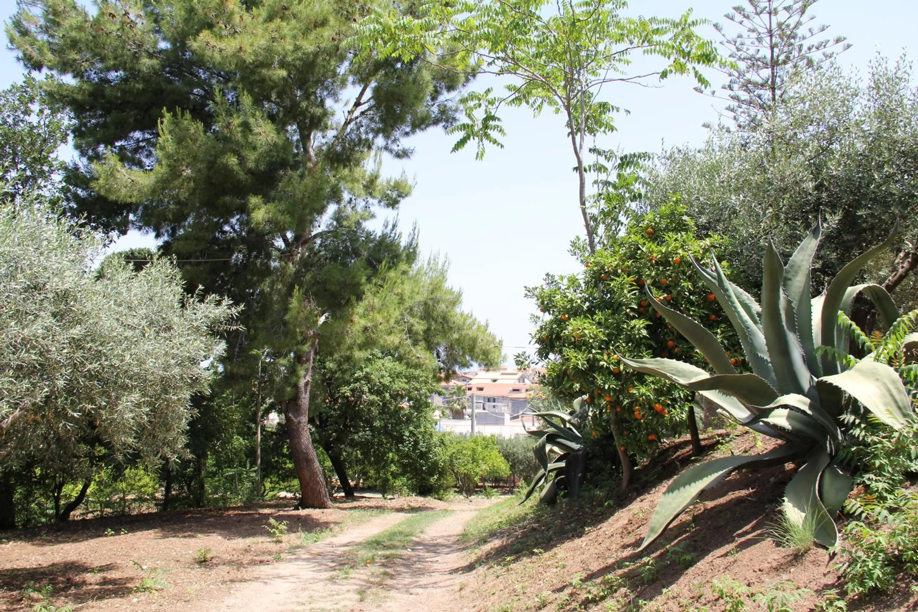 Garden in Tenuta Conte Ruggero