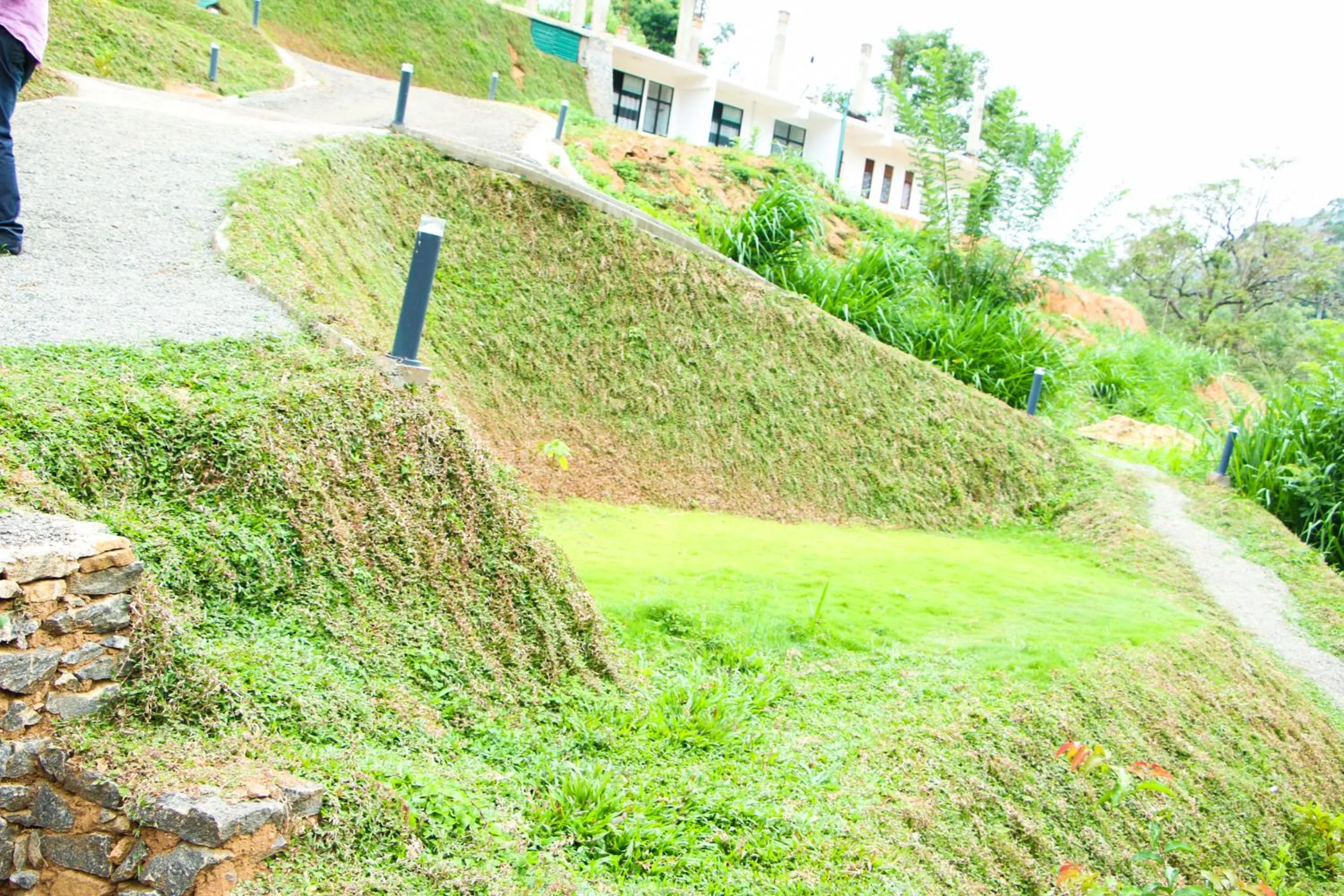 Garden in EllaCrest by Aloft