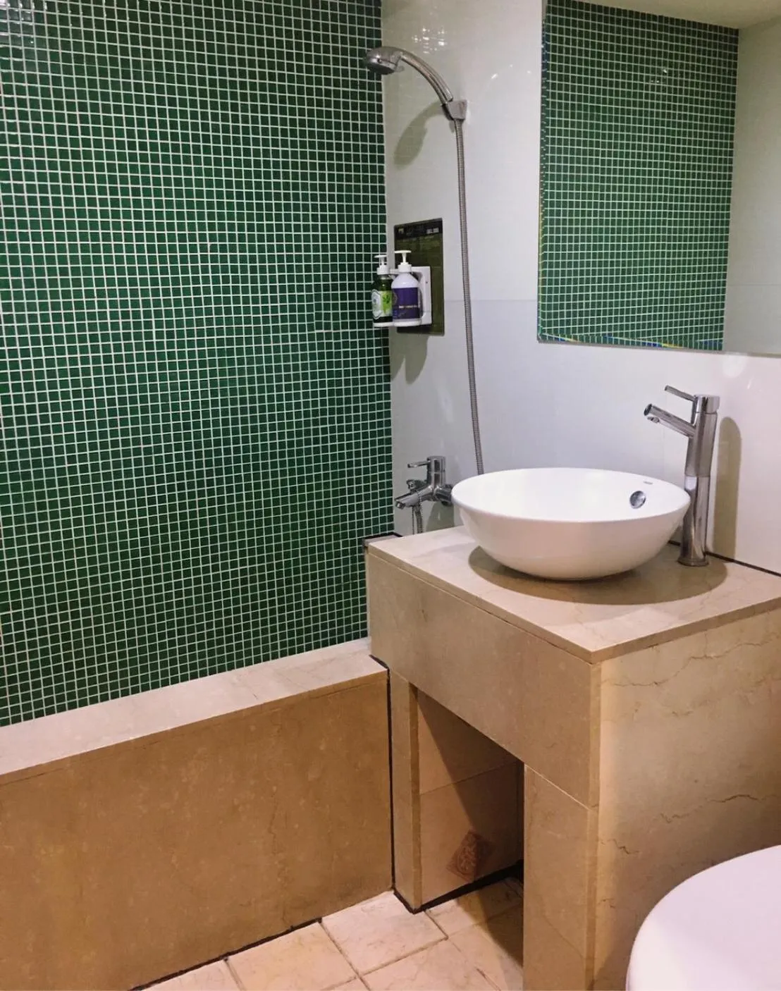 Shower in Michelle hotel