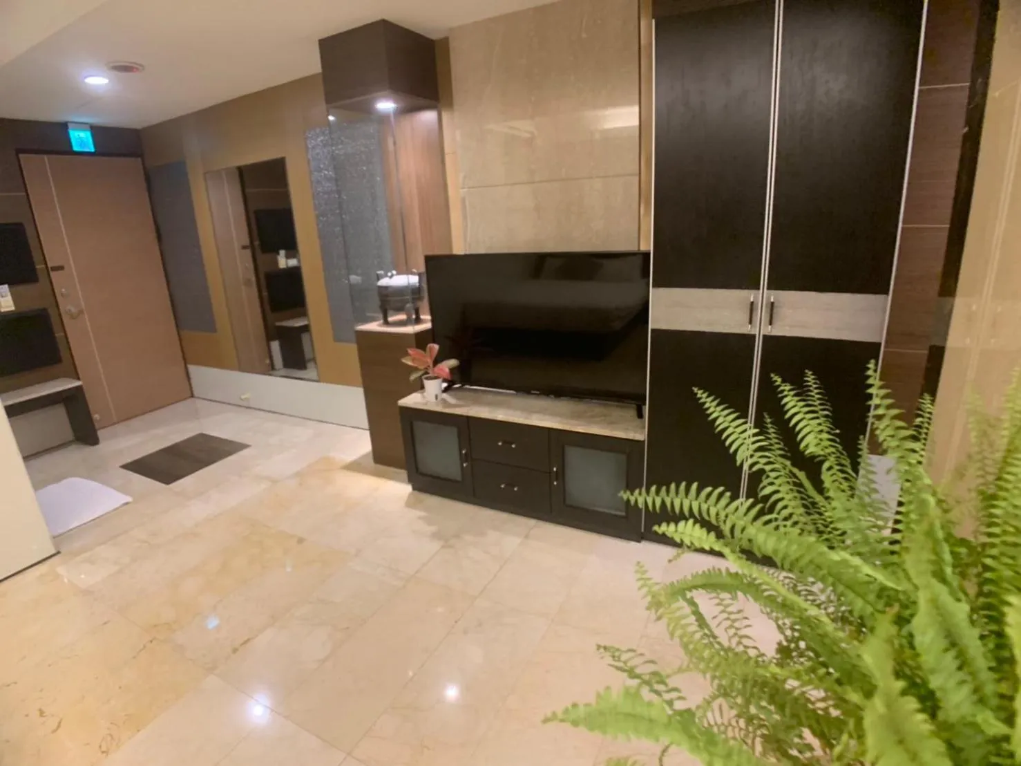 TV and multimedia in Michelle hotel