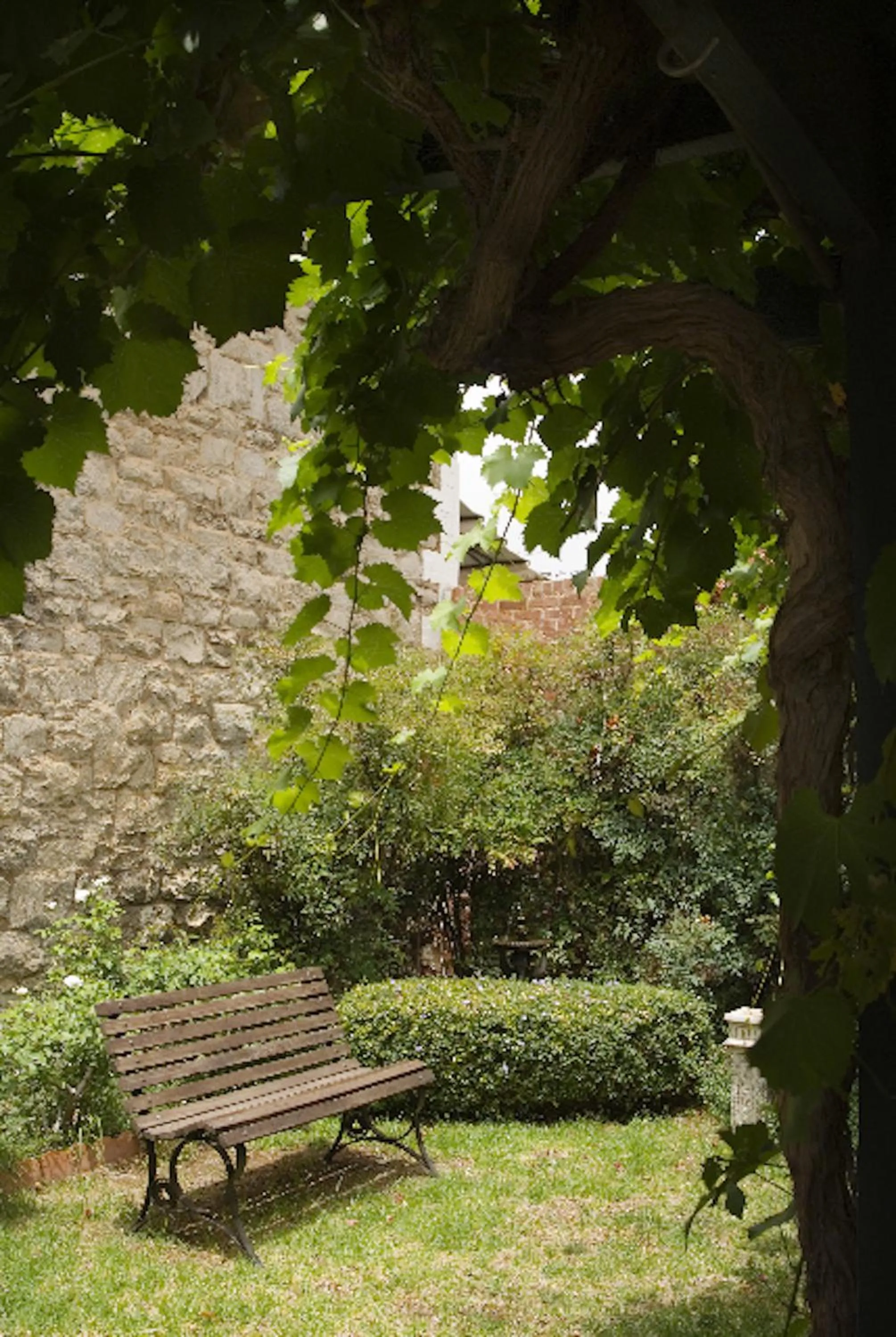 Garden in Imperial Fine Accommodation