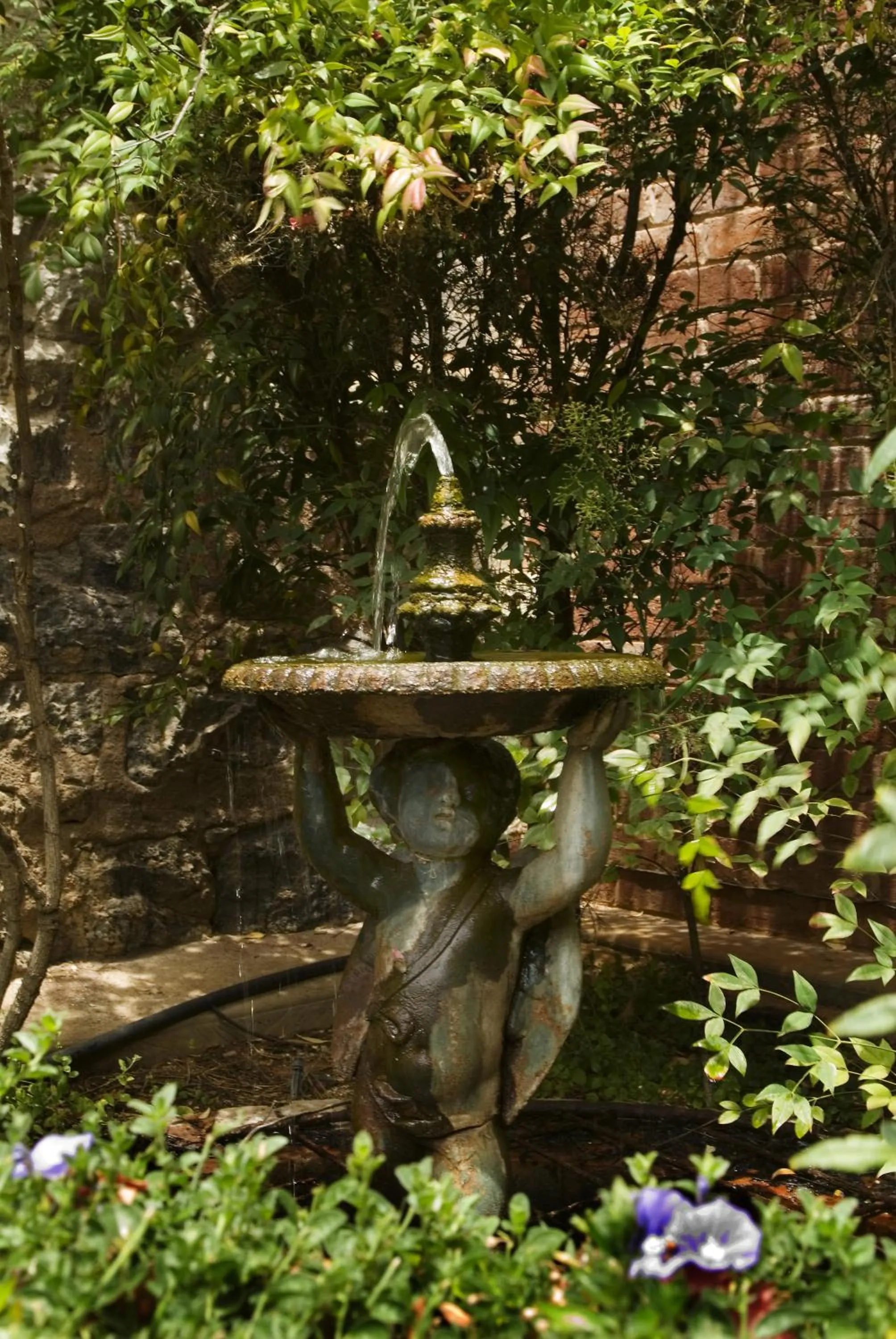 Garden in Imperial Fine Accommodation