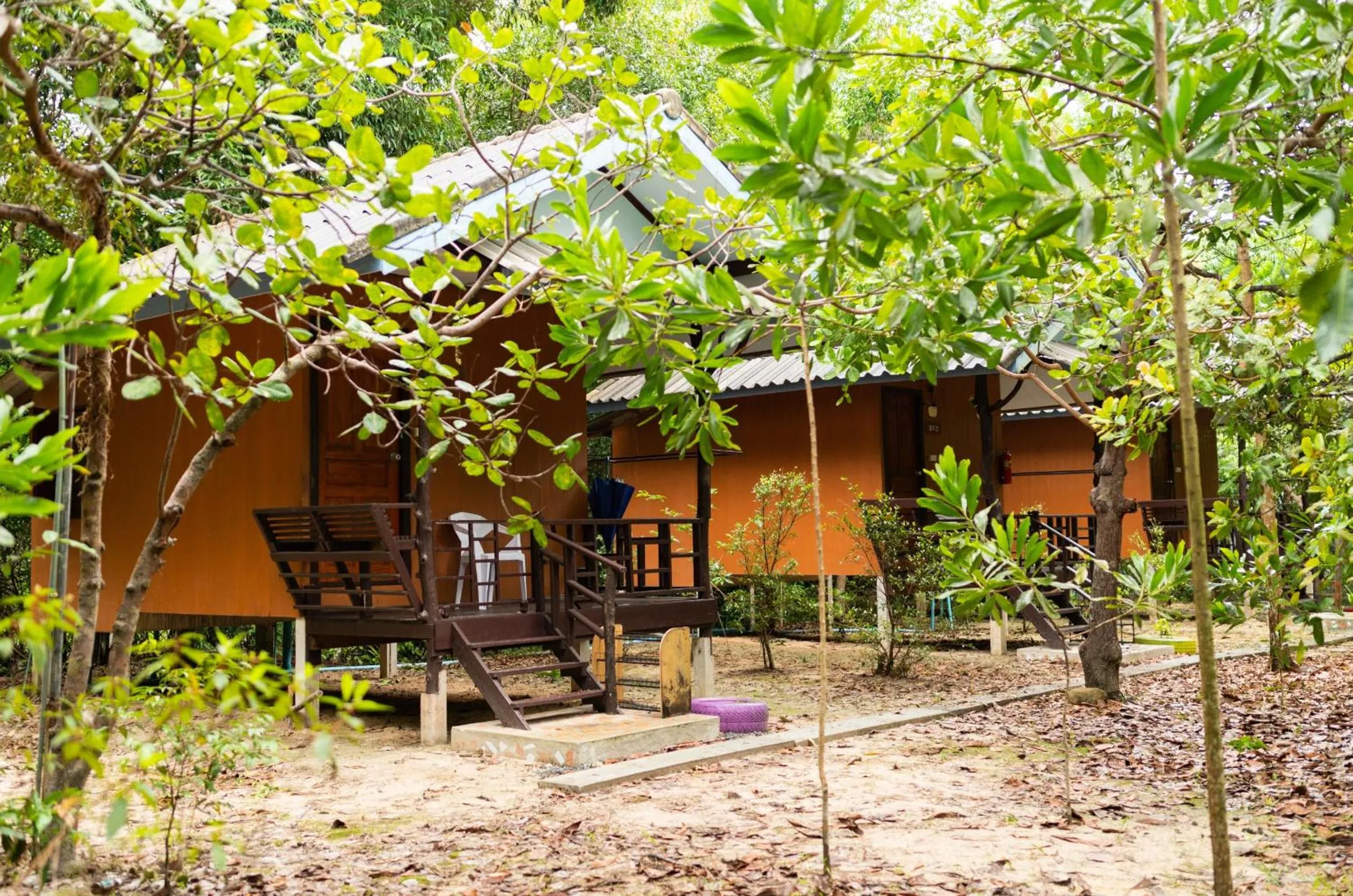 Natural landscape in Mata Guesthouse