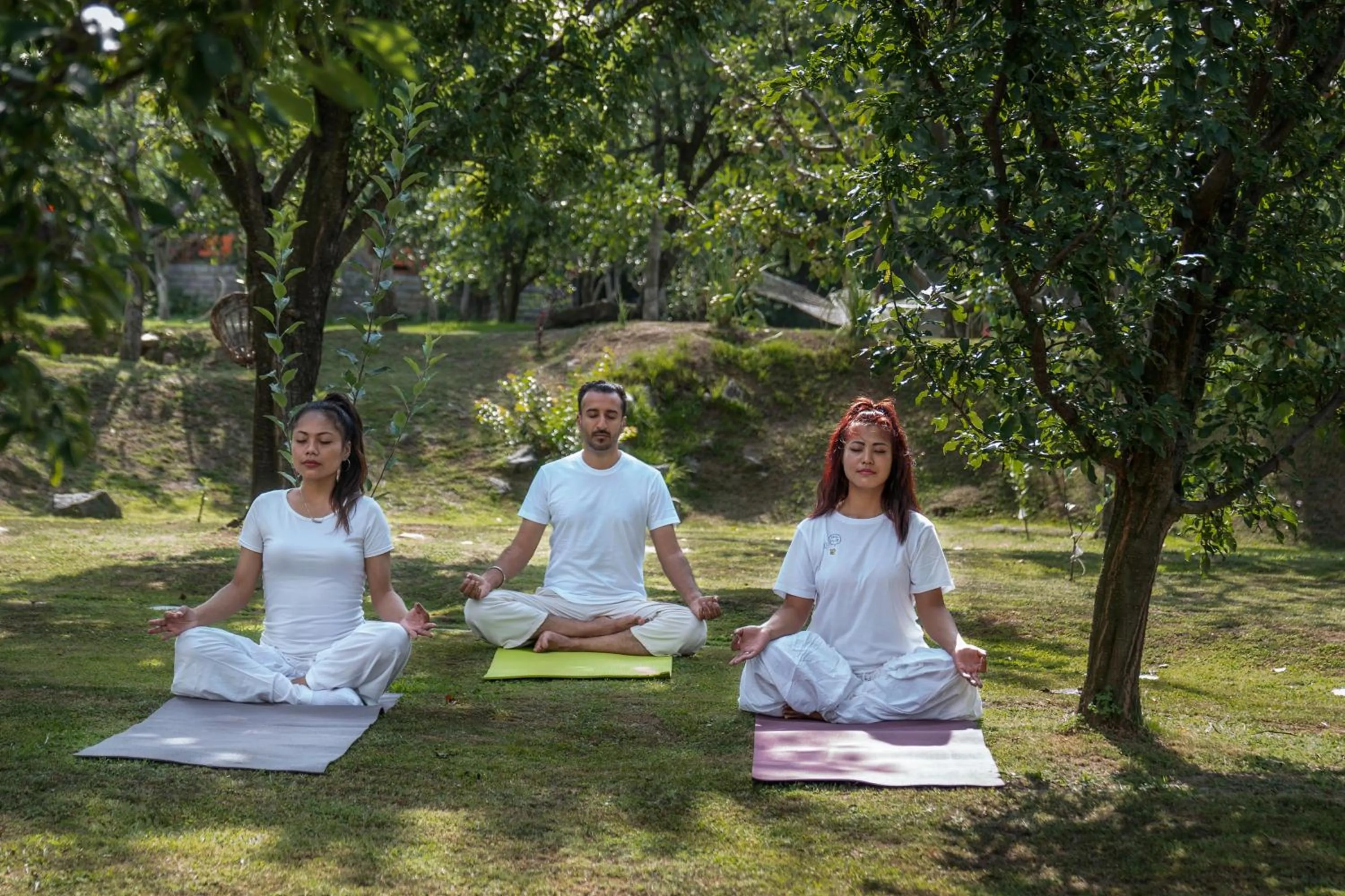 Garden view in Larisa Resort Manali