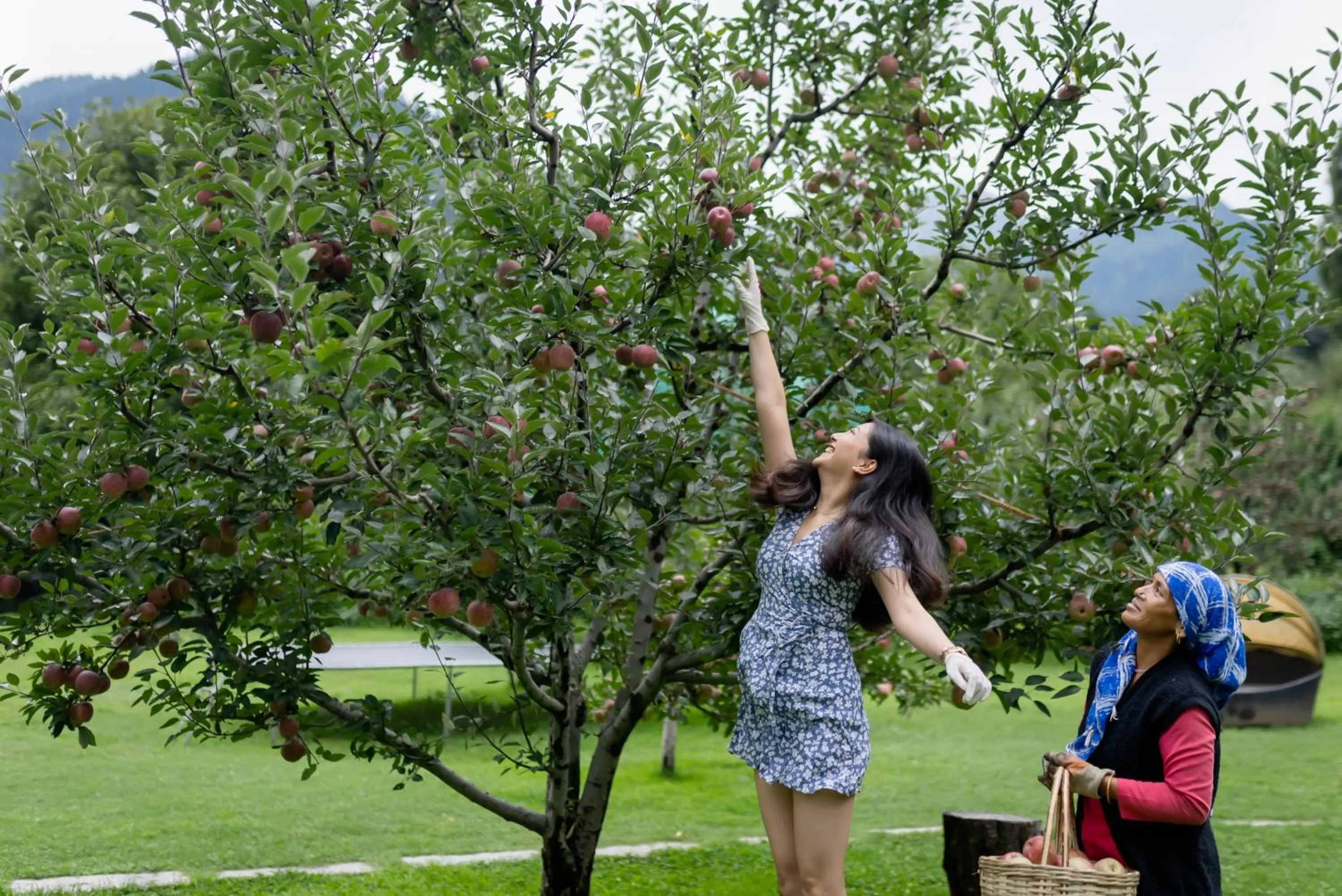 View (from property/room) in Larisa Resort Manali