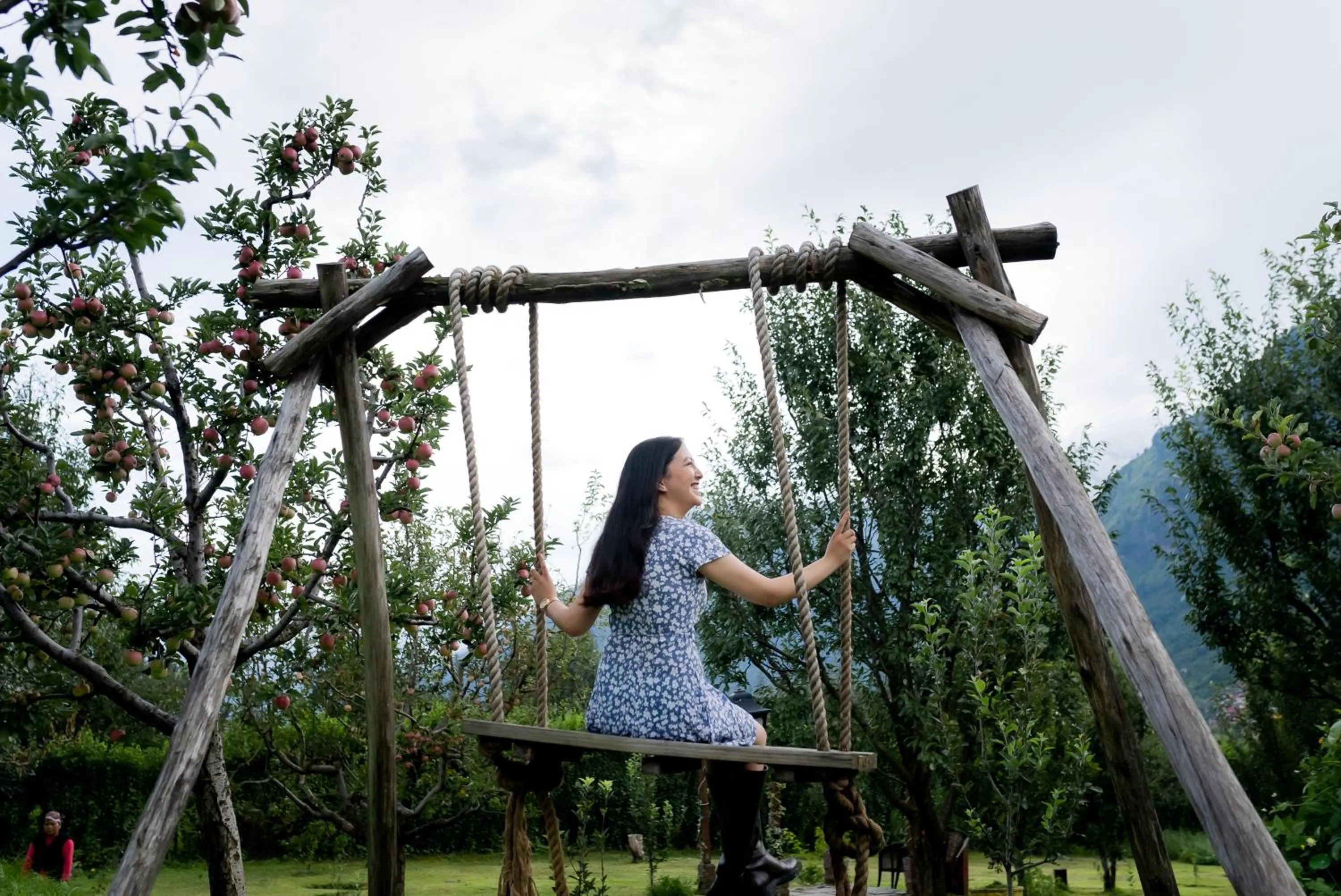View (from property/room) in Larisa Resort Manali