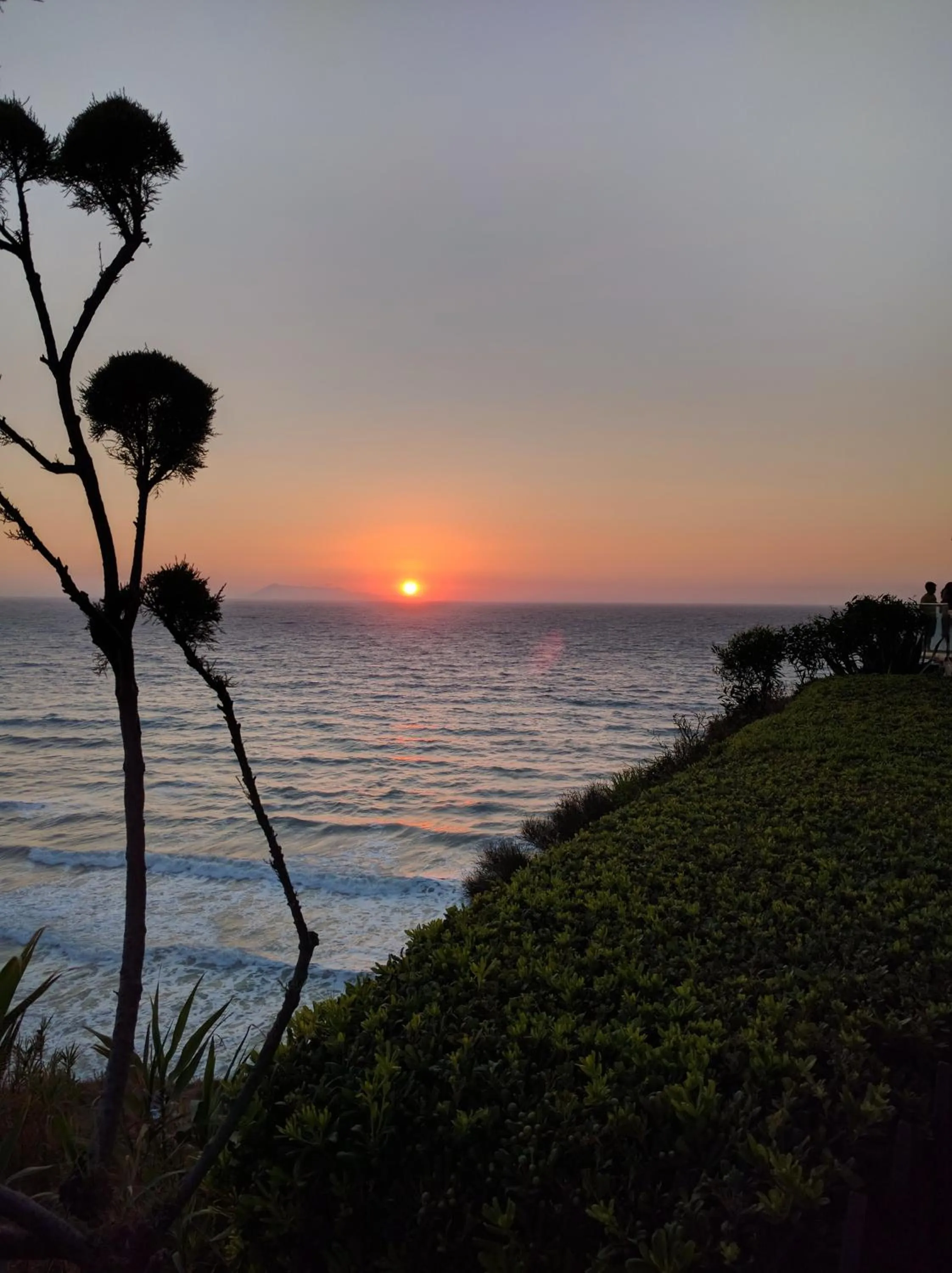 Natural landscape in Tondoris Apartments