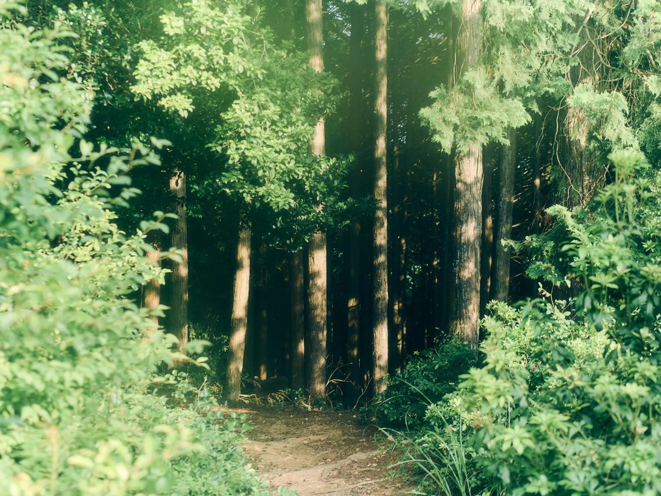 Grandvrio Hotel Tamba Sasayama Wakura - ROUTE INN HOTELS -