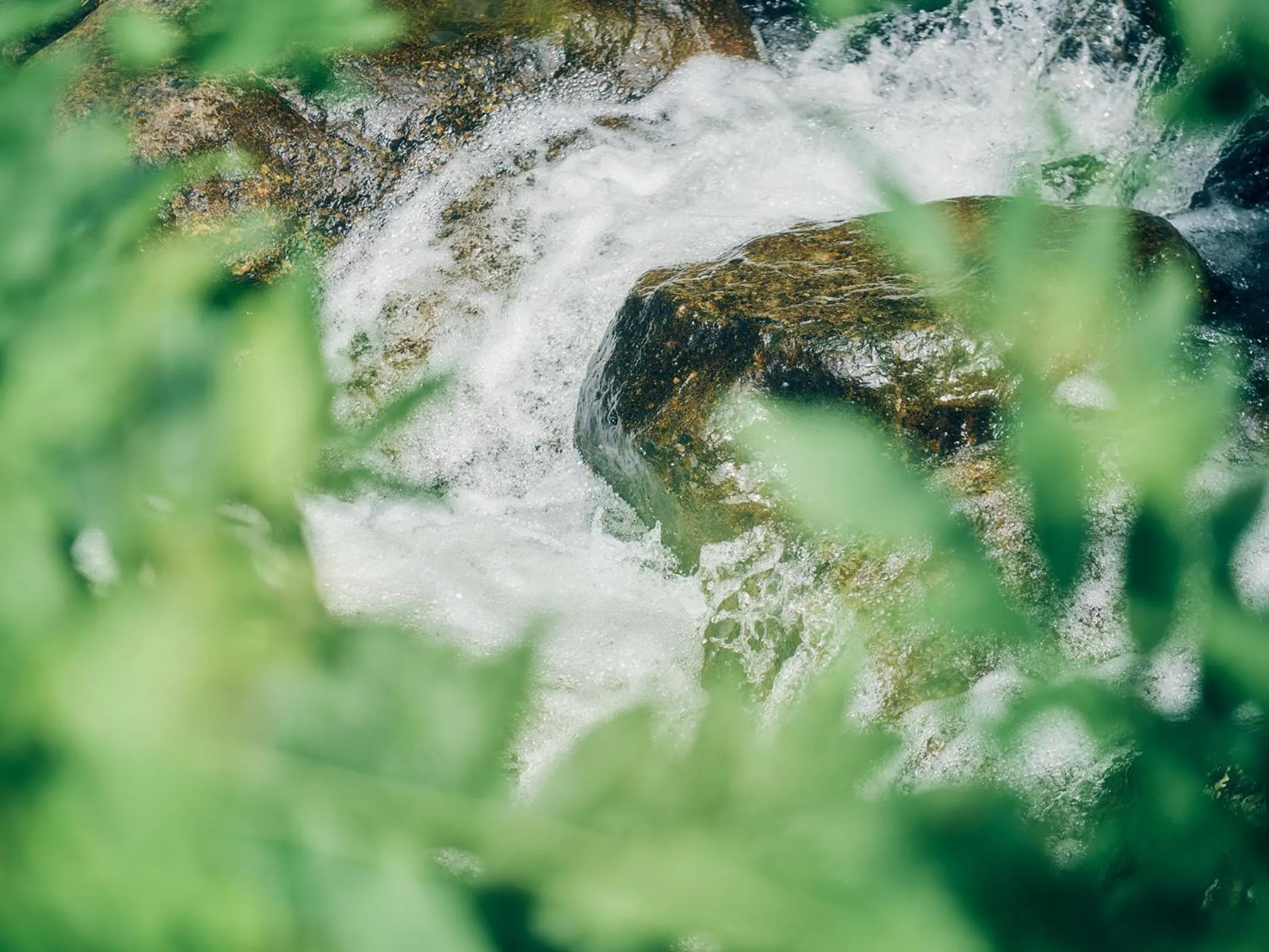 Grandvrio Hotel Tamba Sasayama Wakura - ROUTE INN HOTELS -