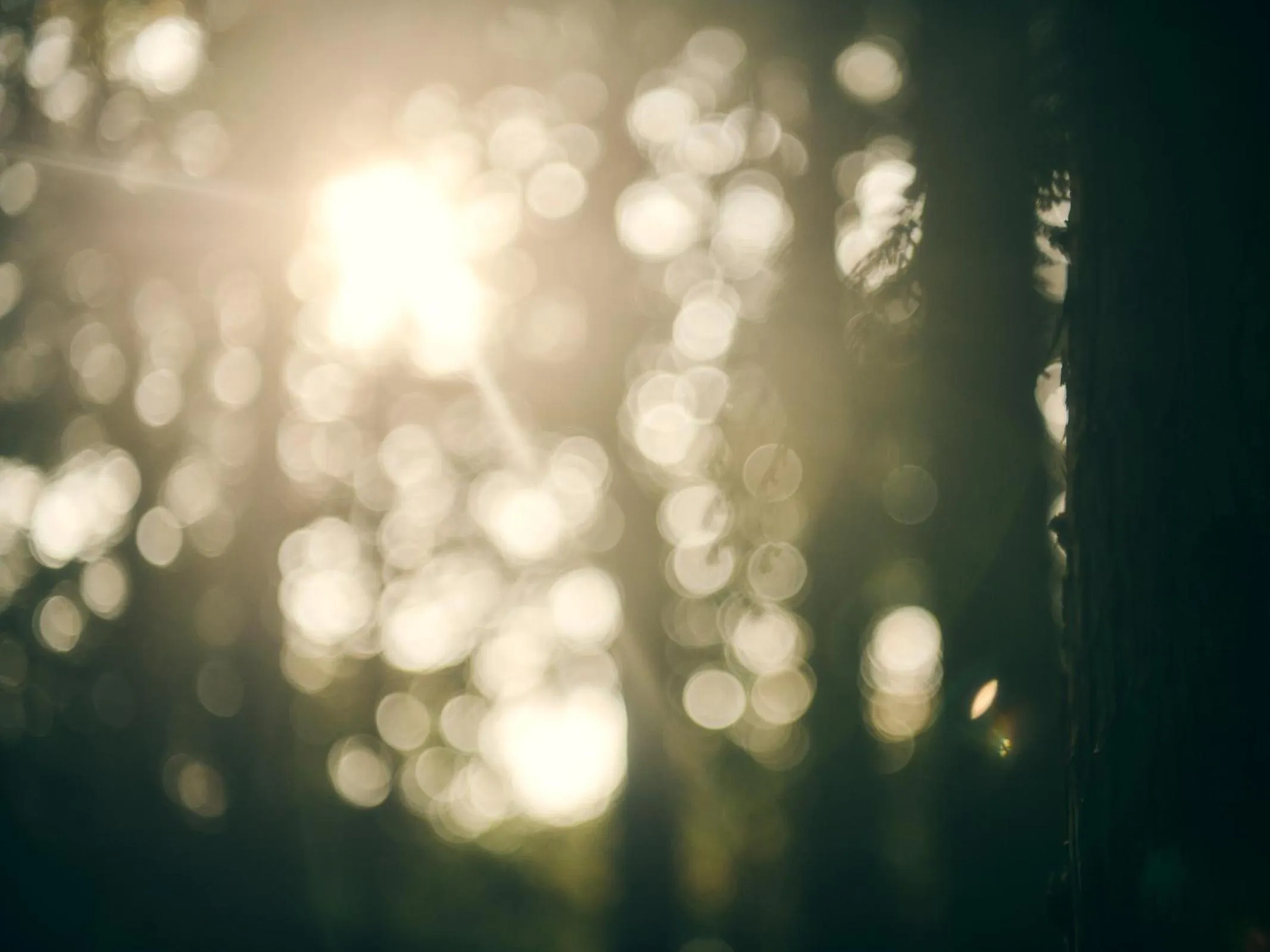 Grandvrio Hotel Tamba Sasayama Wakura - ROUTE INN HOTELS -