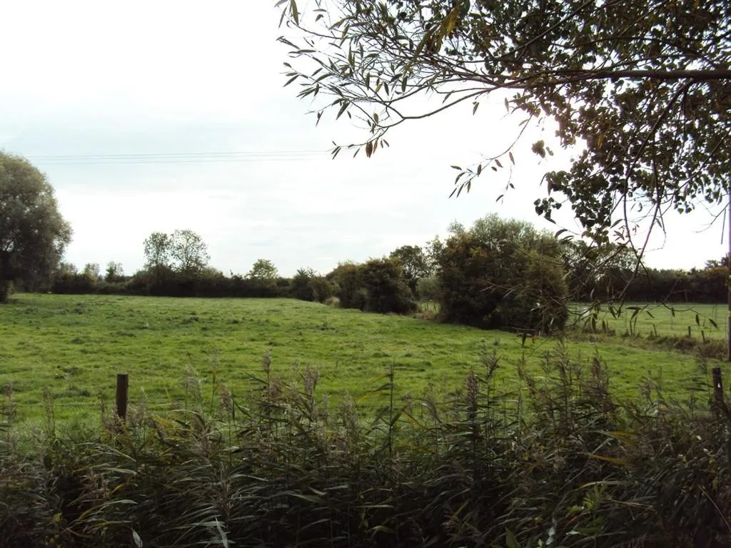 View (from property/room) in Withy Cottages