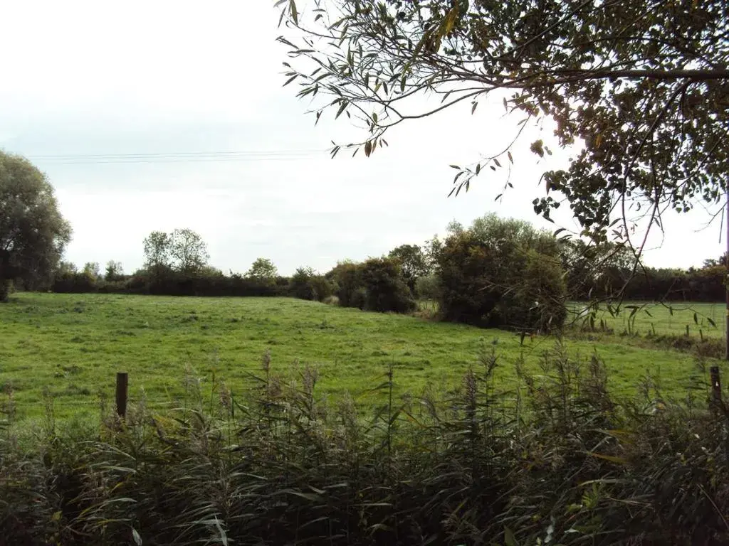 View (from property/room) in Withy Cottages View (from property/room) in Withy Cottages