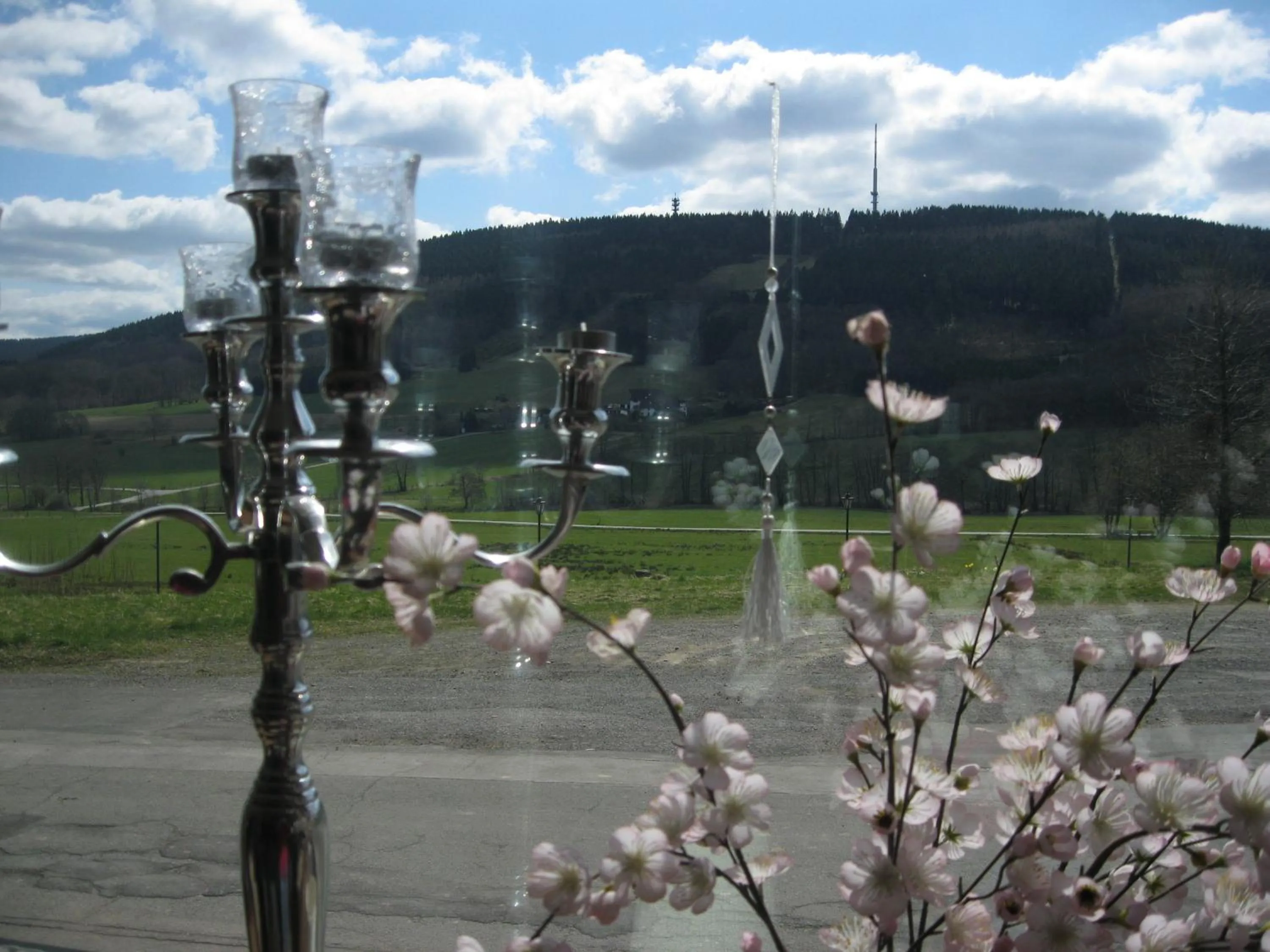 Mountain view in Jagdhaus Weber