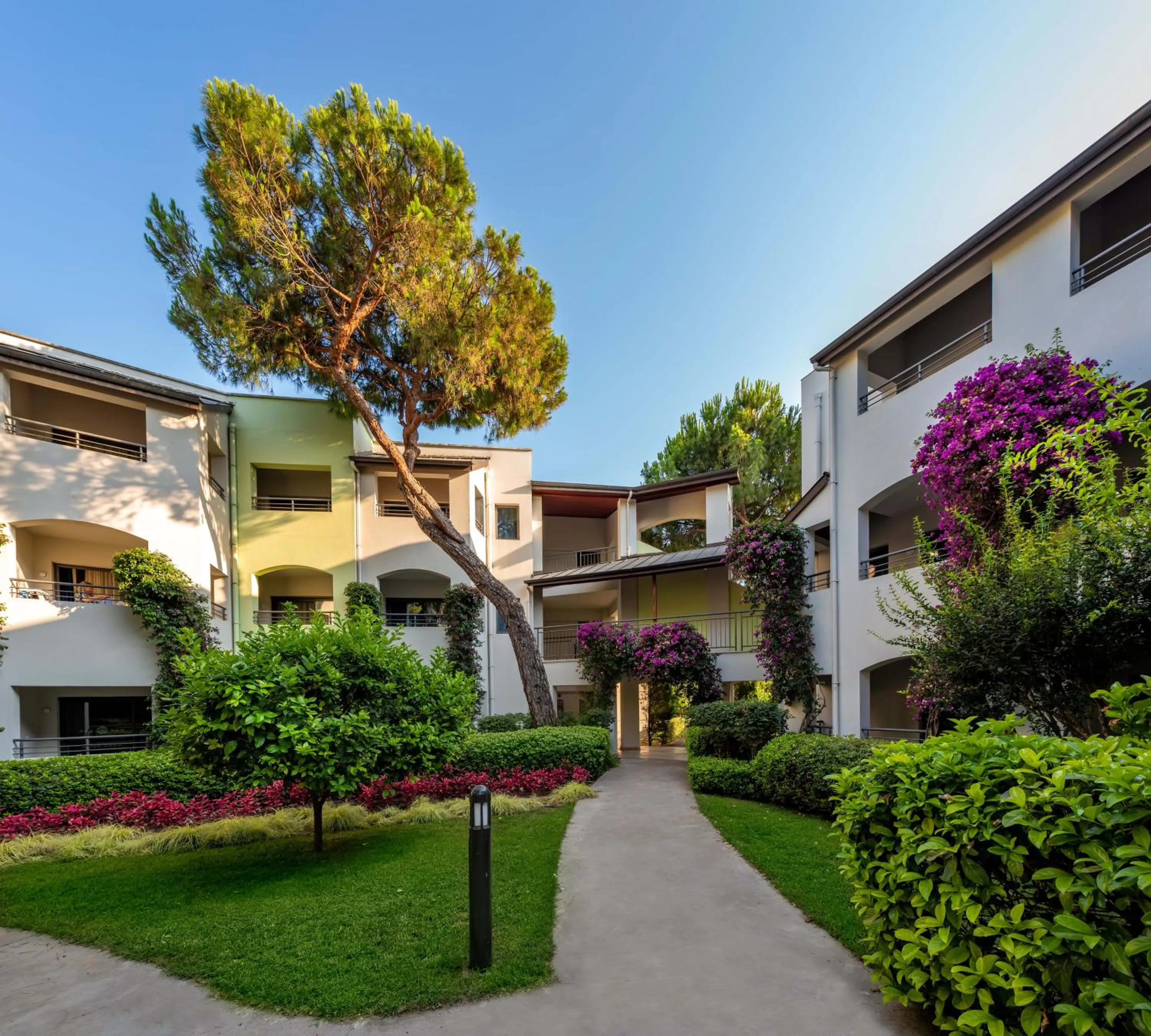 Standard Double Room in Paloma Sencia