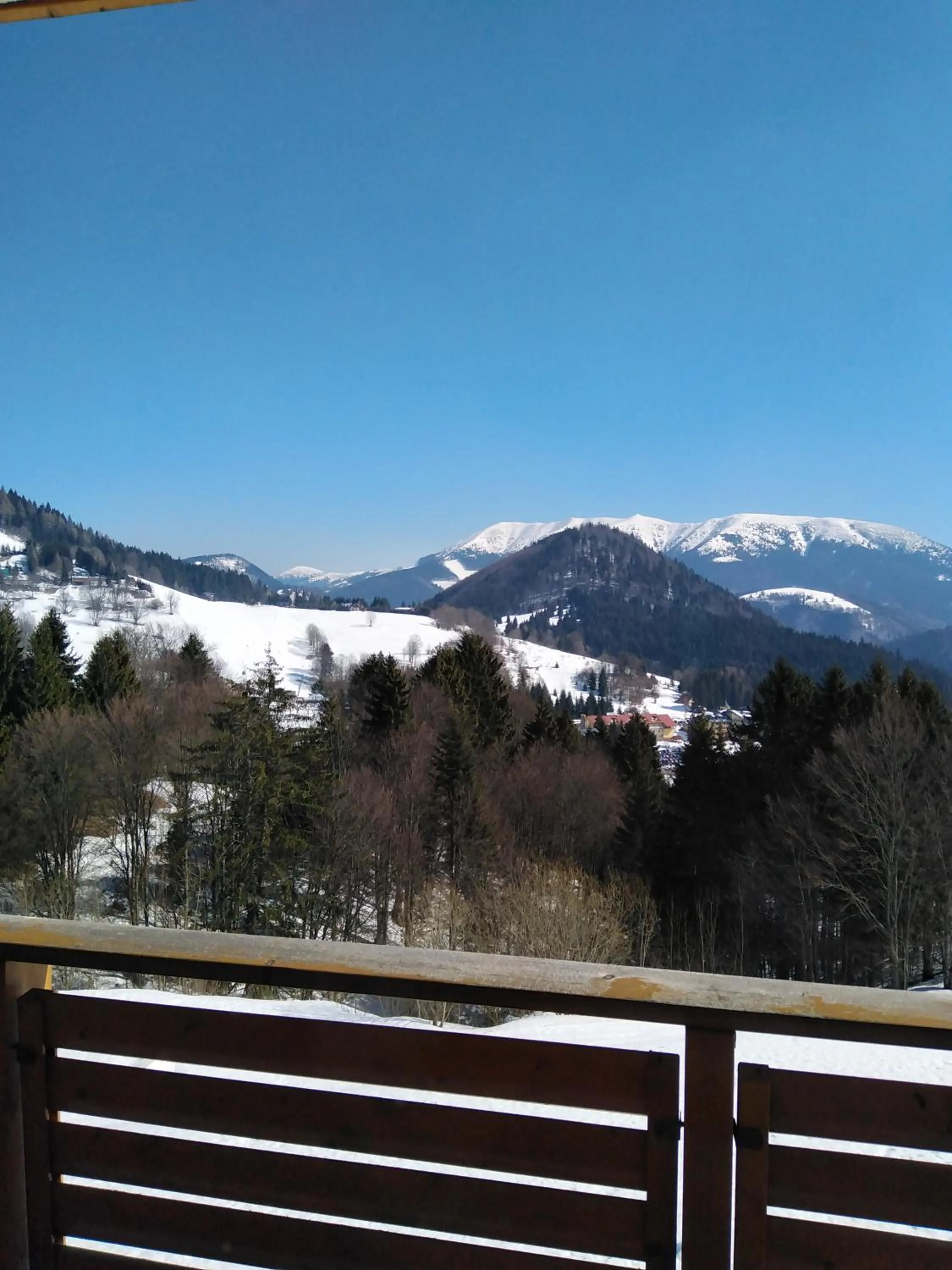 Natural landscape in Apartman MARLEA