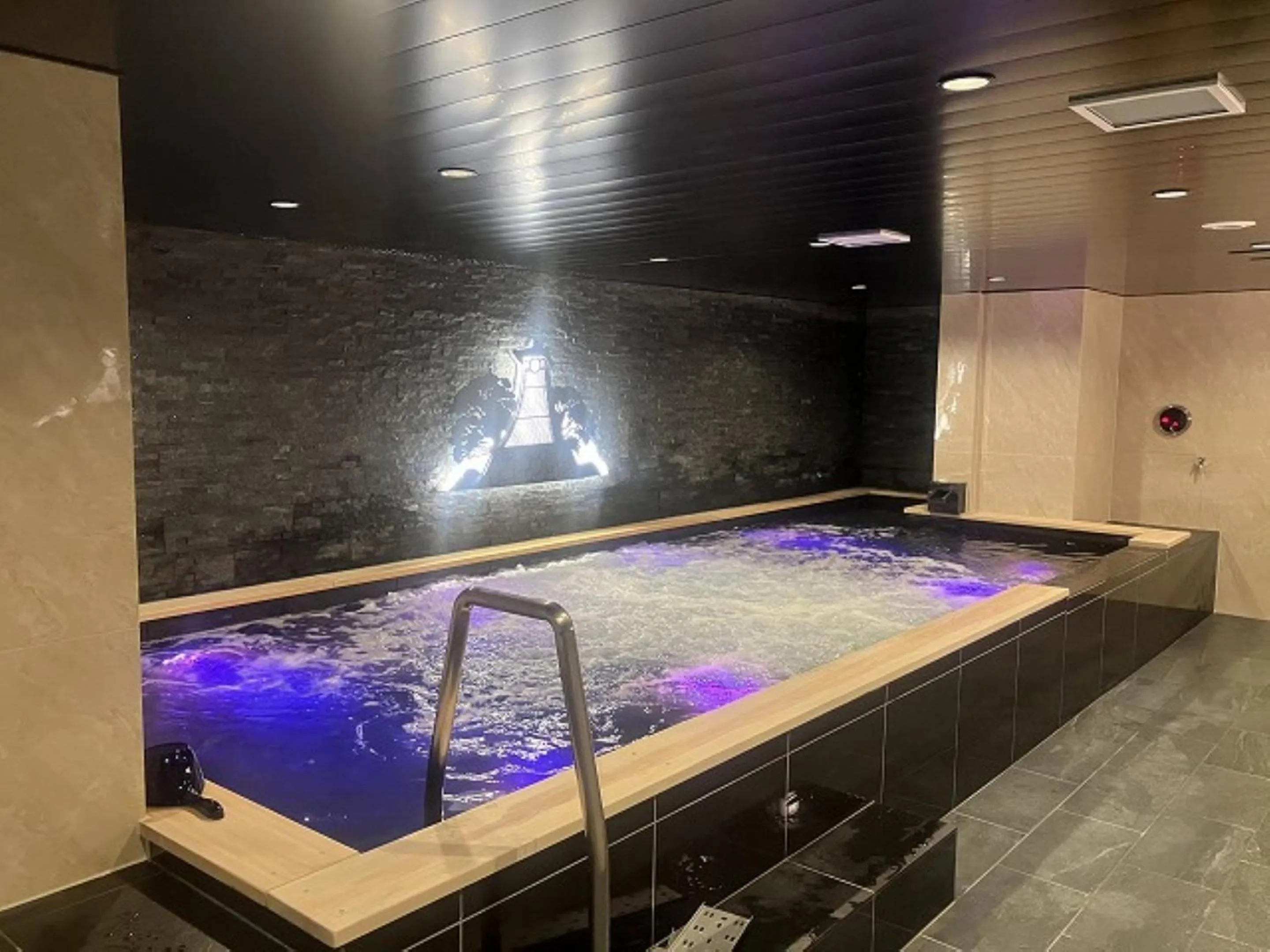 Public Bath in HOTEL LiVEMAX Toyooka