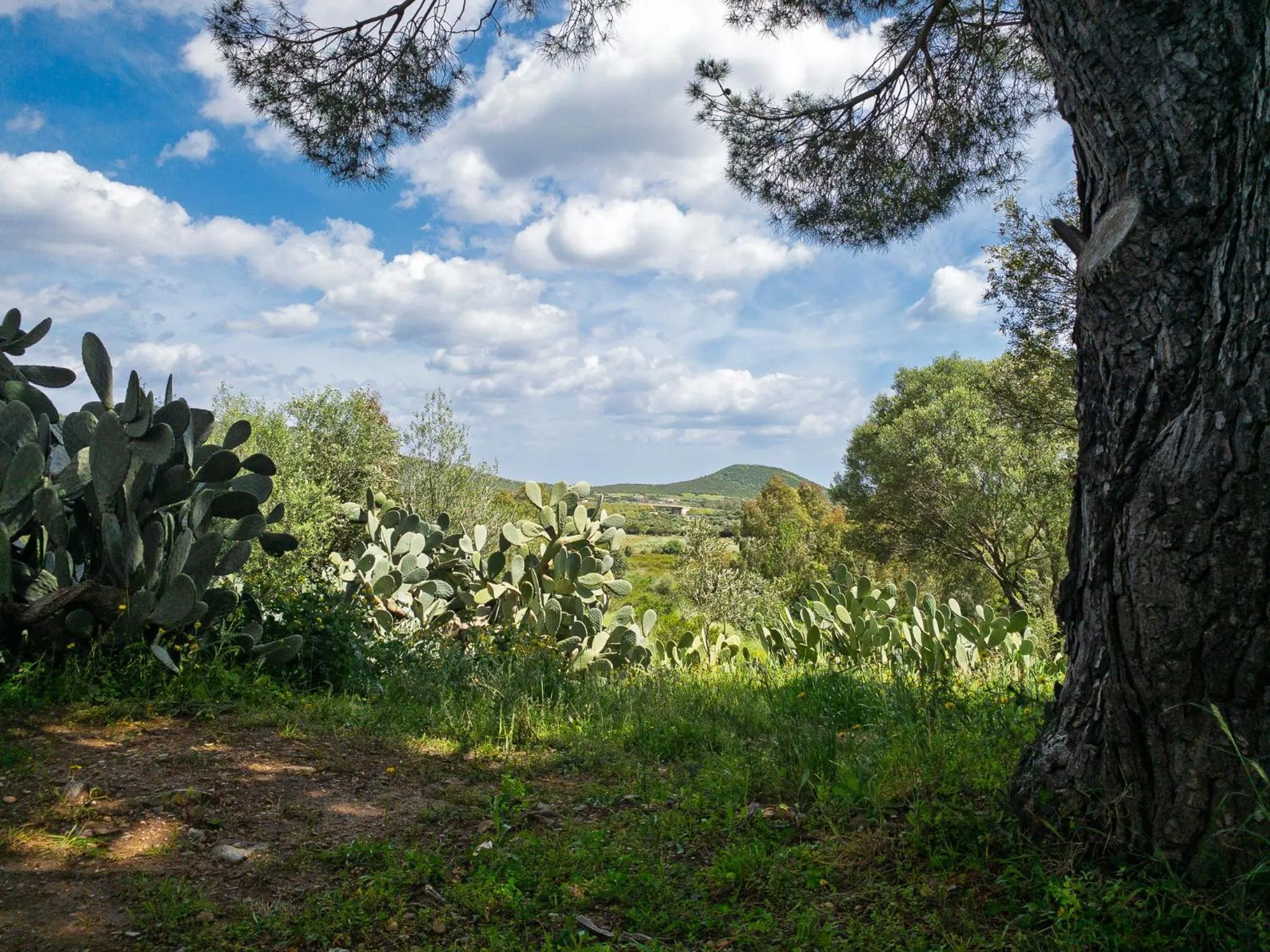 Agriturismo Guparza
