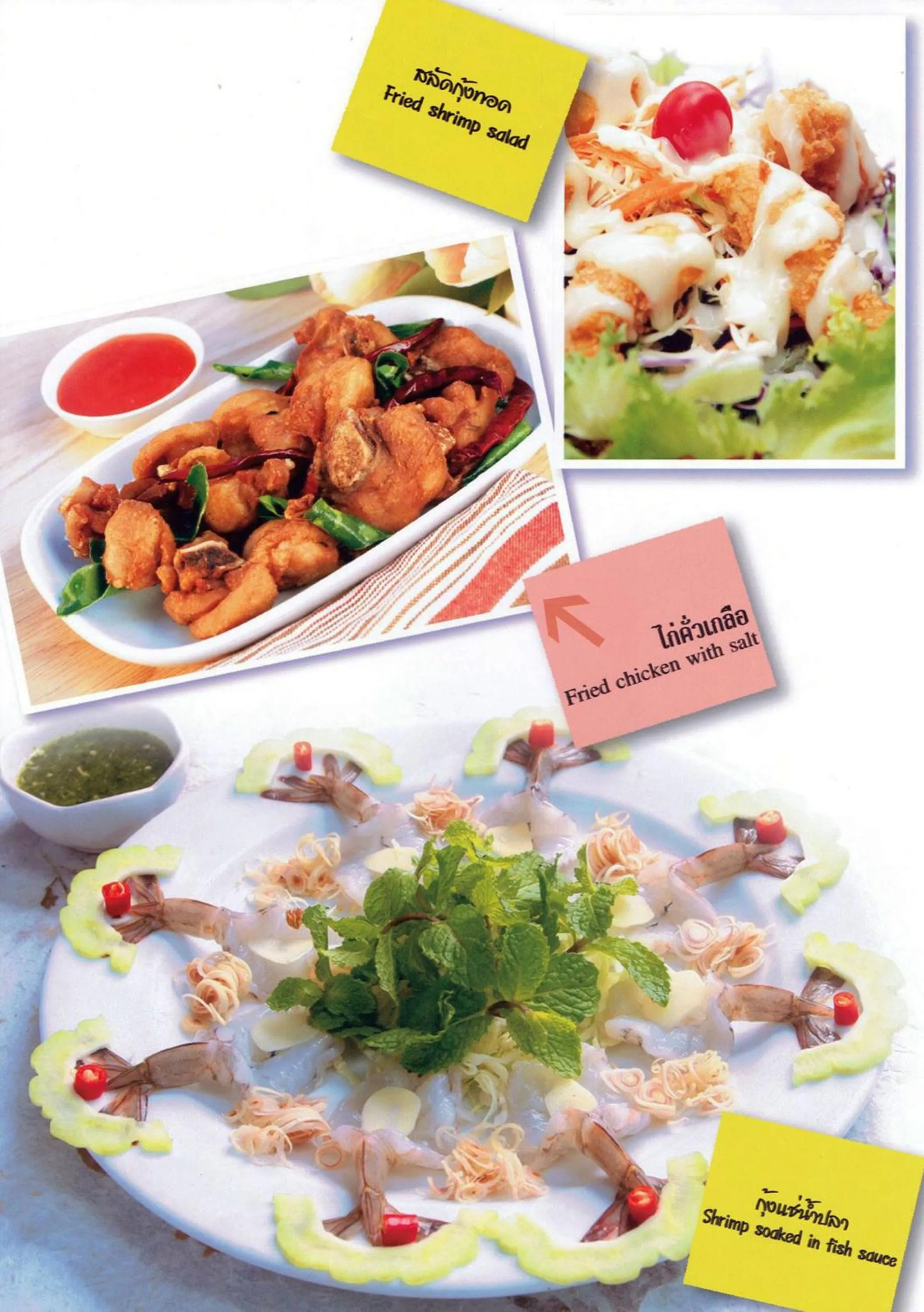 Cozy At 9 Hotel And Kitchen