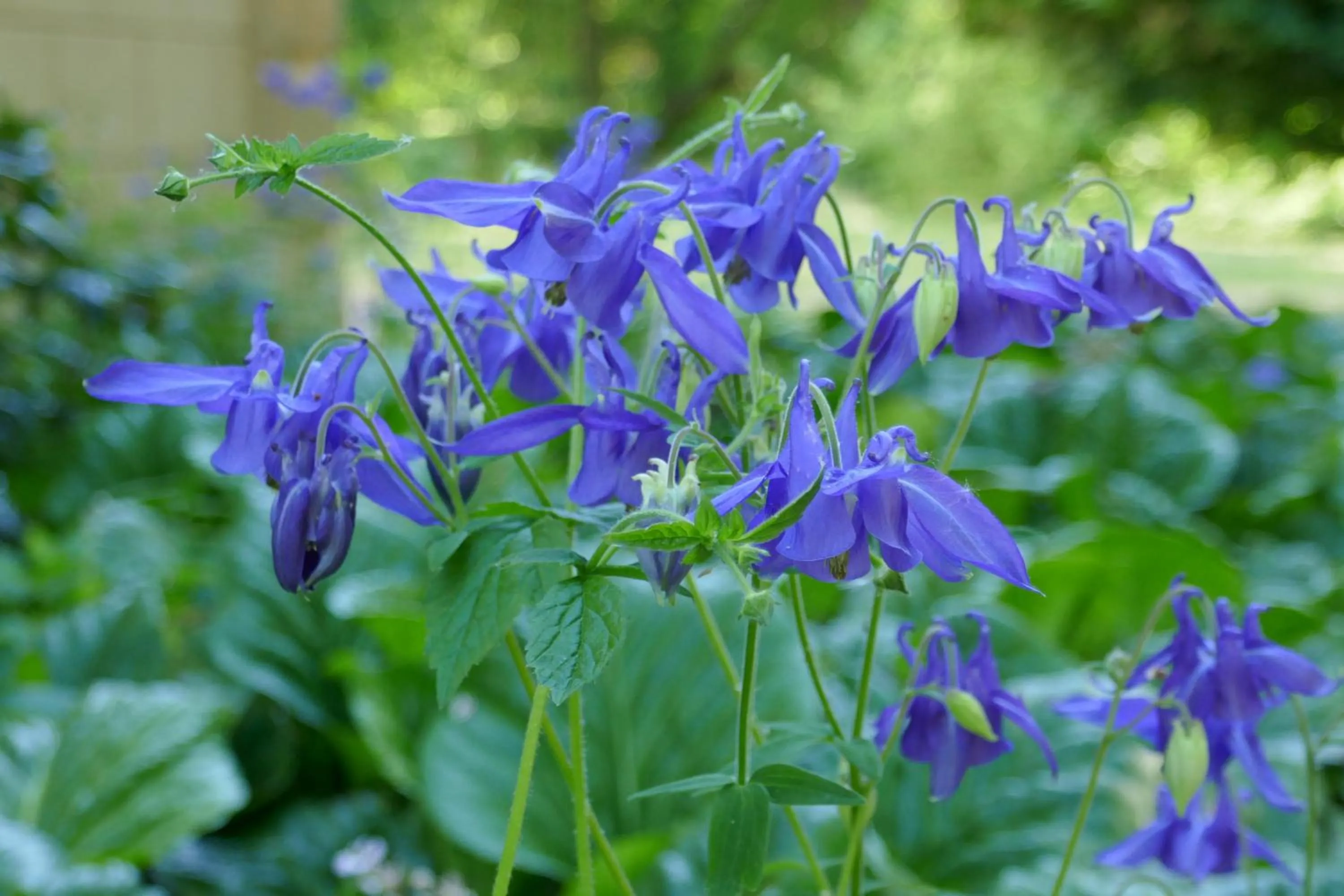 Garden in Landhaus Schloss Kölzow