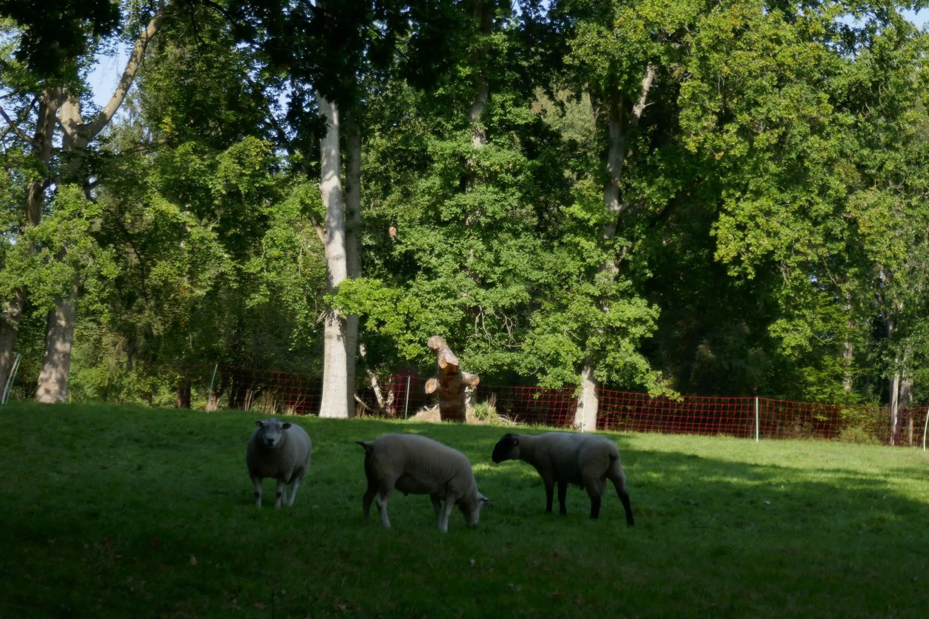 Garden in Landhaus Schloss Kölzow
