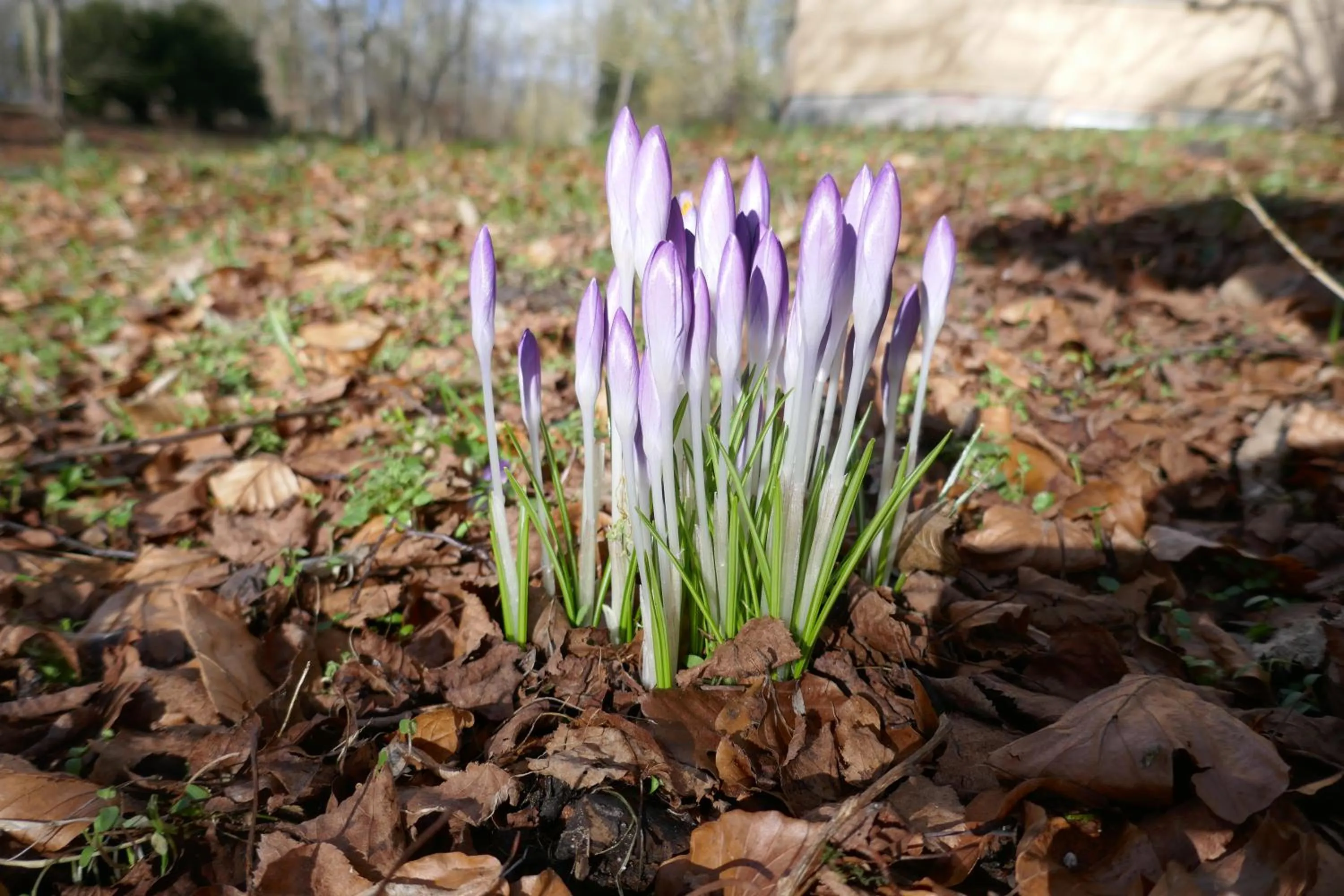 Landhaus Schloss Kölzow