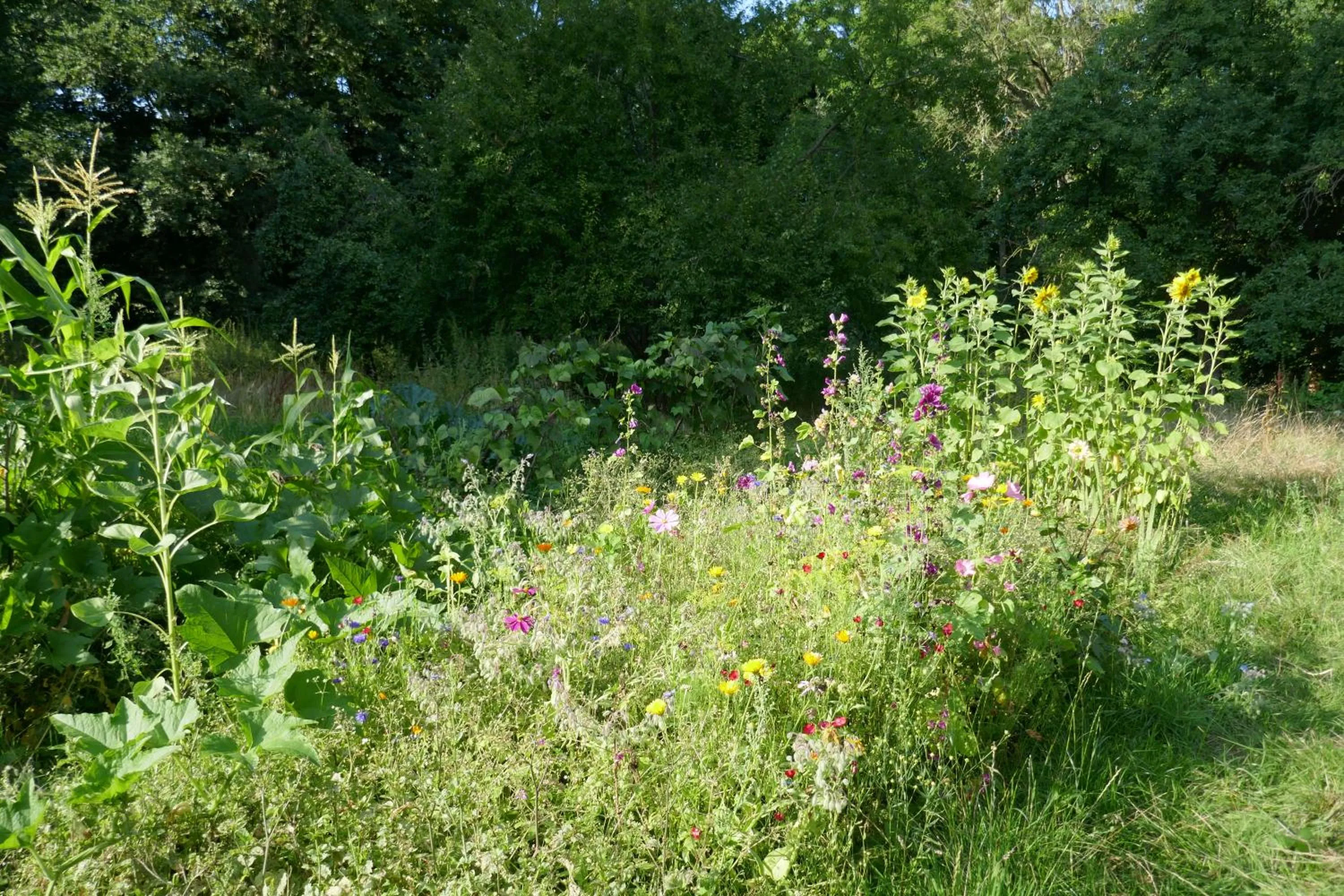 Landhaus Schloss Kölzow