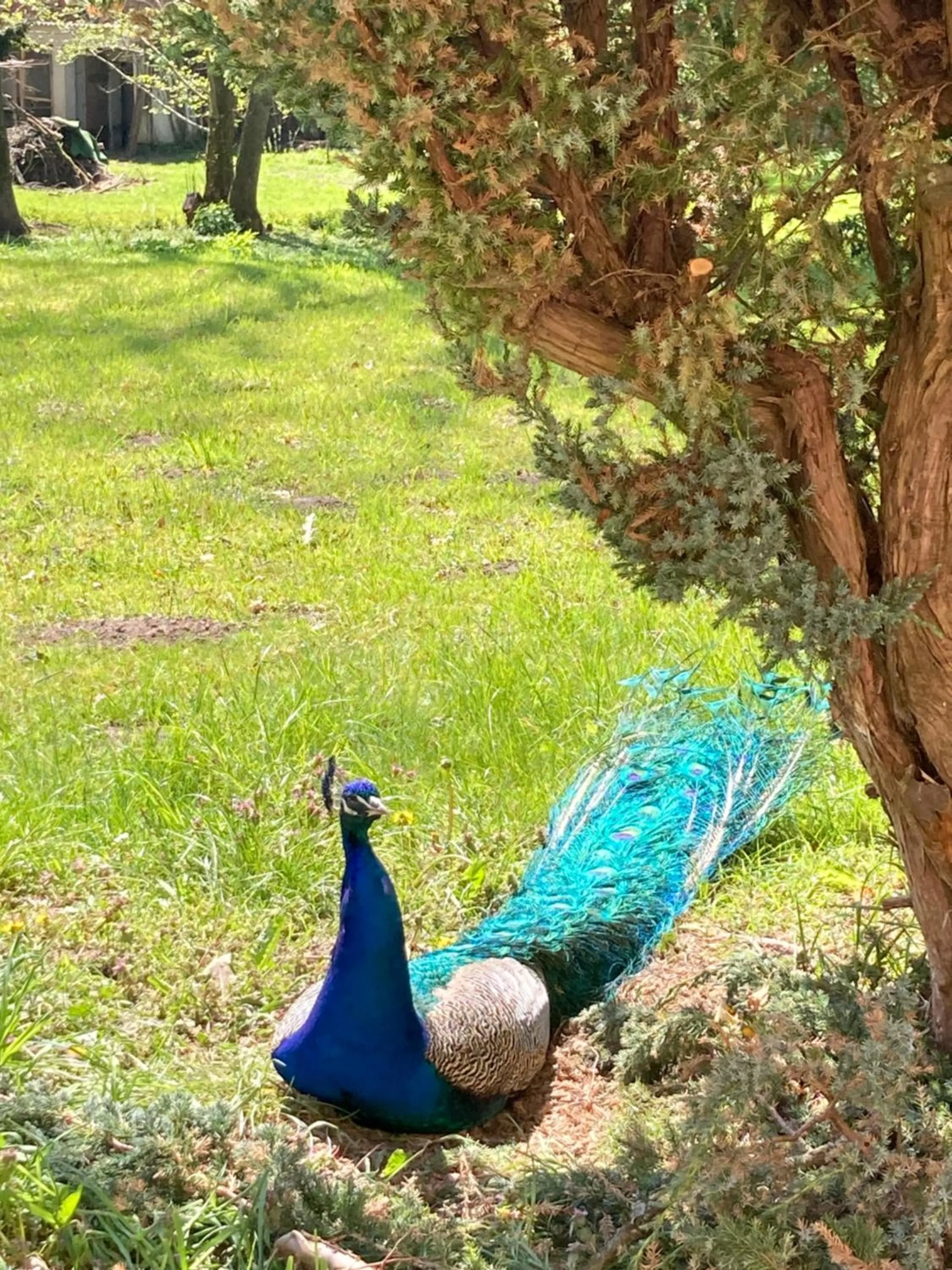 Landhaus Schloss Kölzow