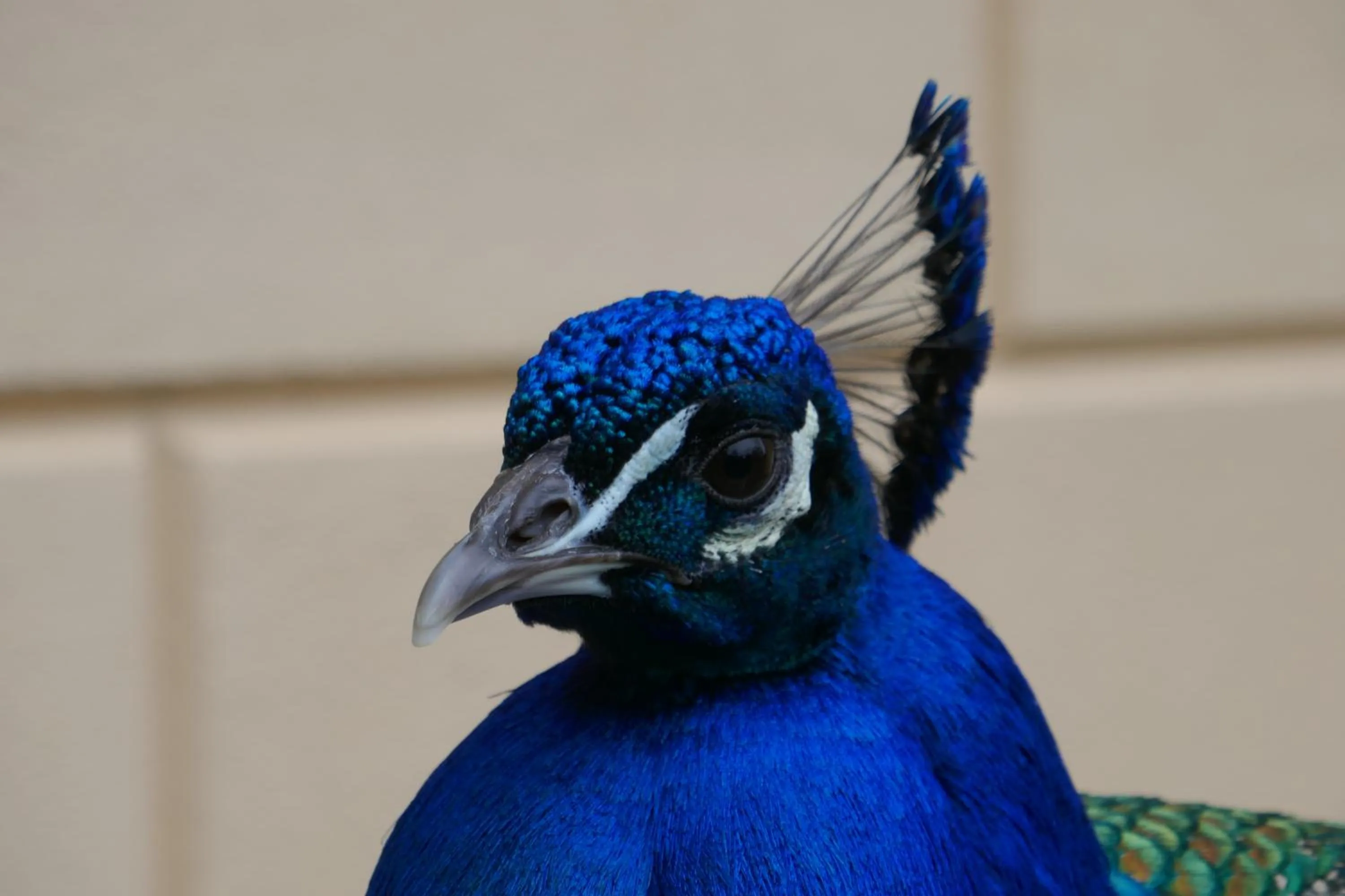 Garden in Landhaus Schloss Kölzow