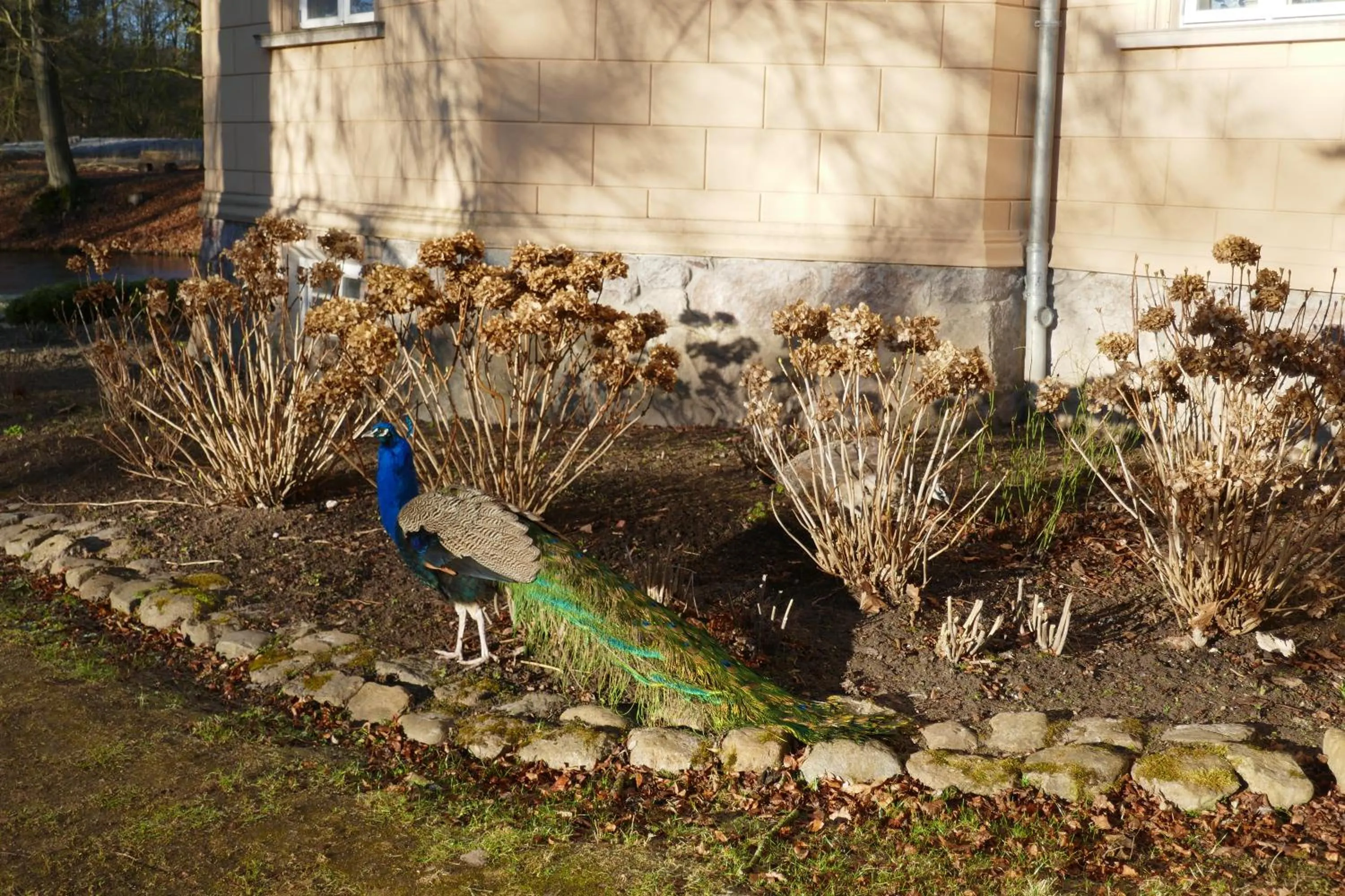 Landhaus Schloss Kölzow