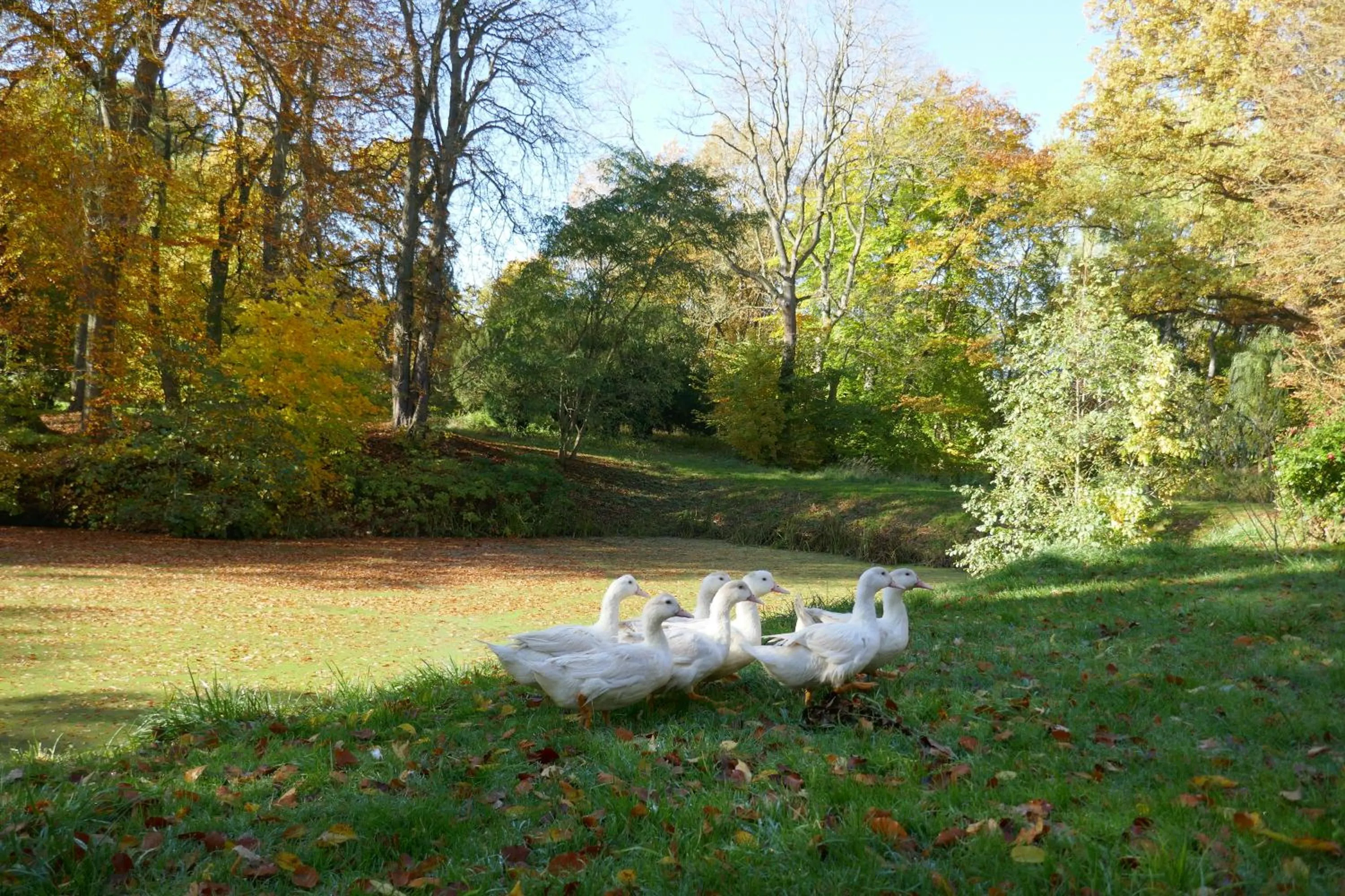 Garden in Landhaus Schloss Kölzow
