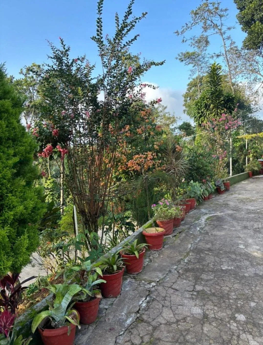 The Blue Mountains Estate Stay
