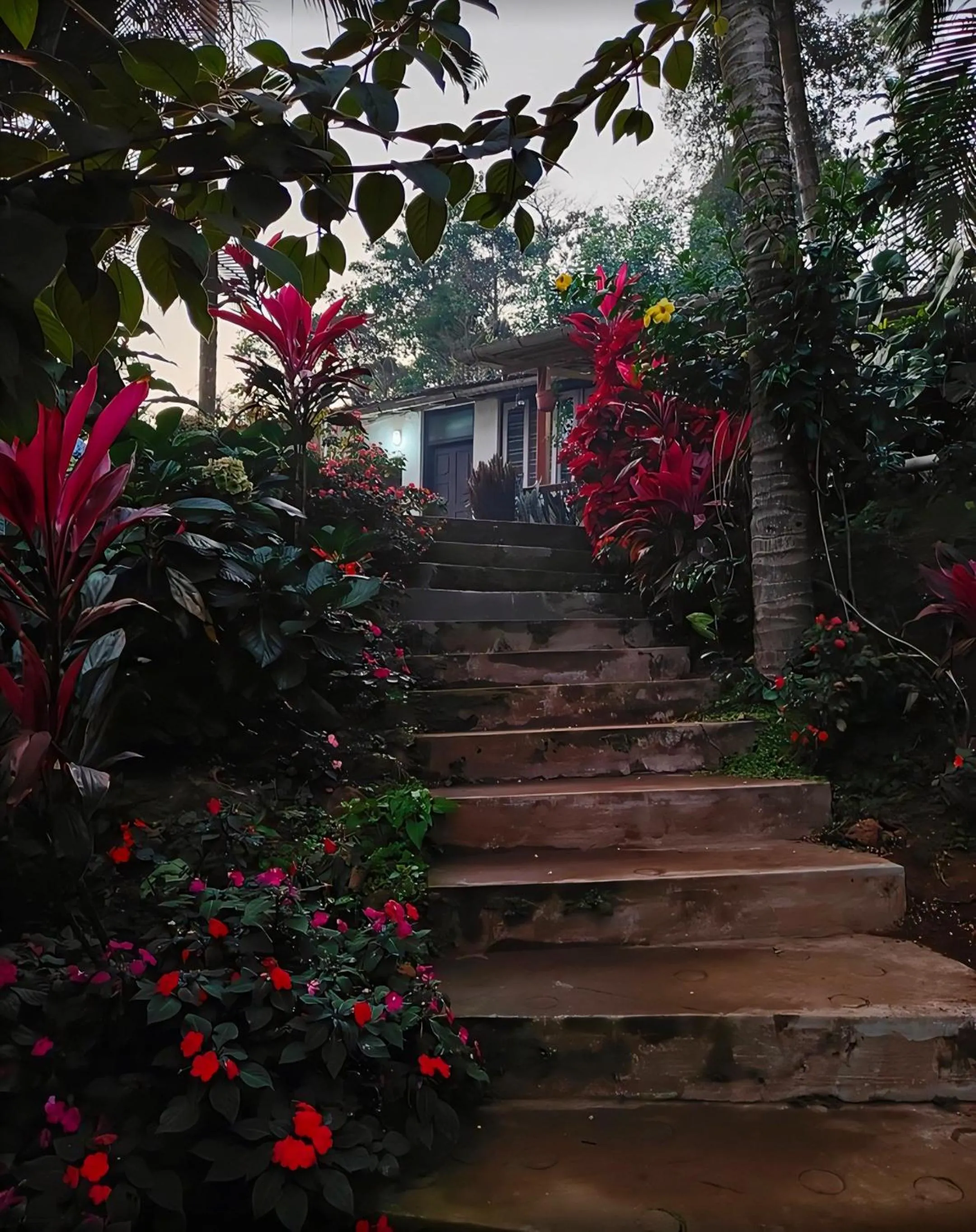 The Blue Mountains Estate Stay