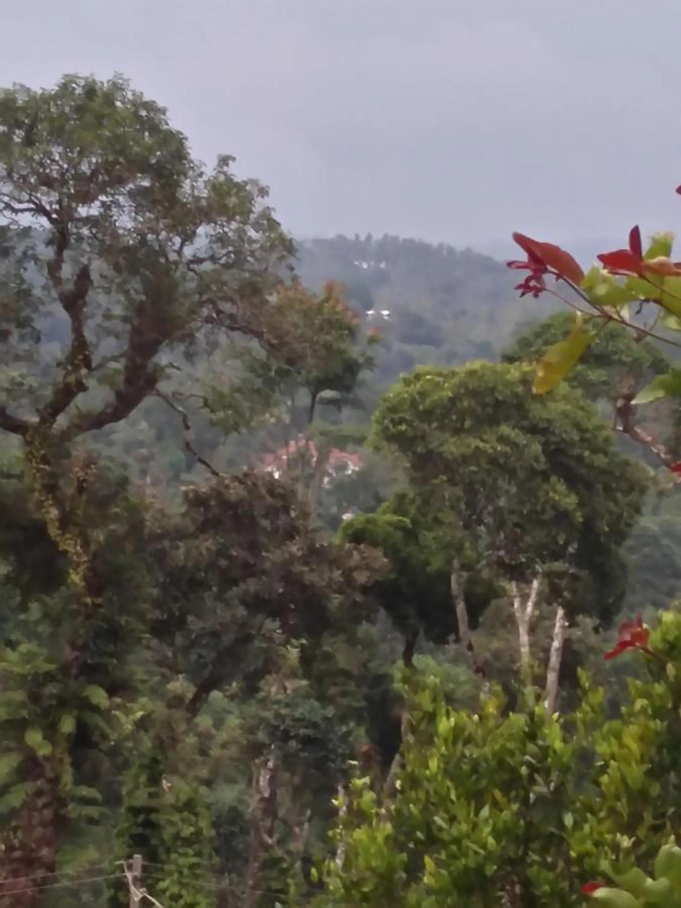 Mountain view in The Blue Mountains Estate Stay