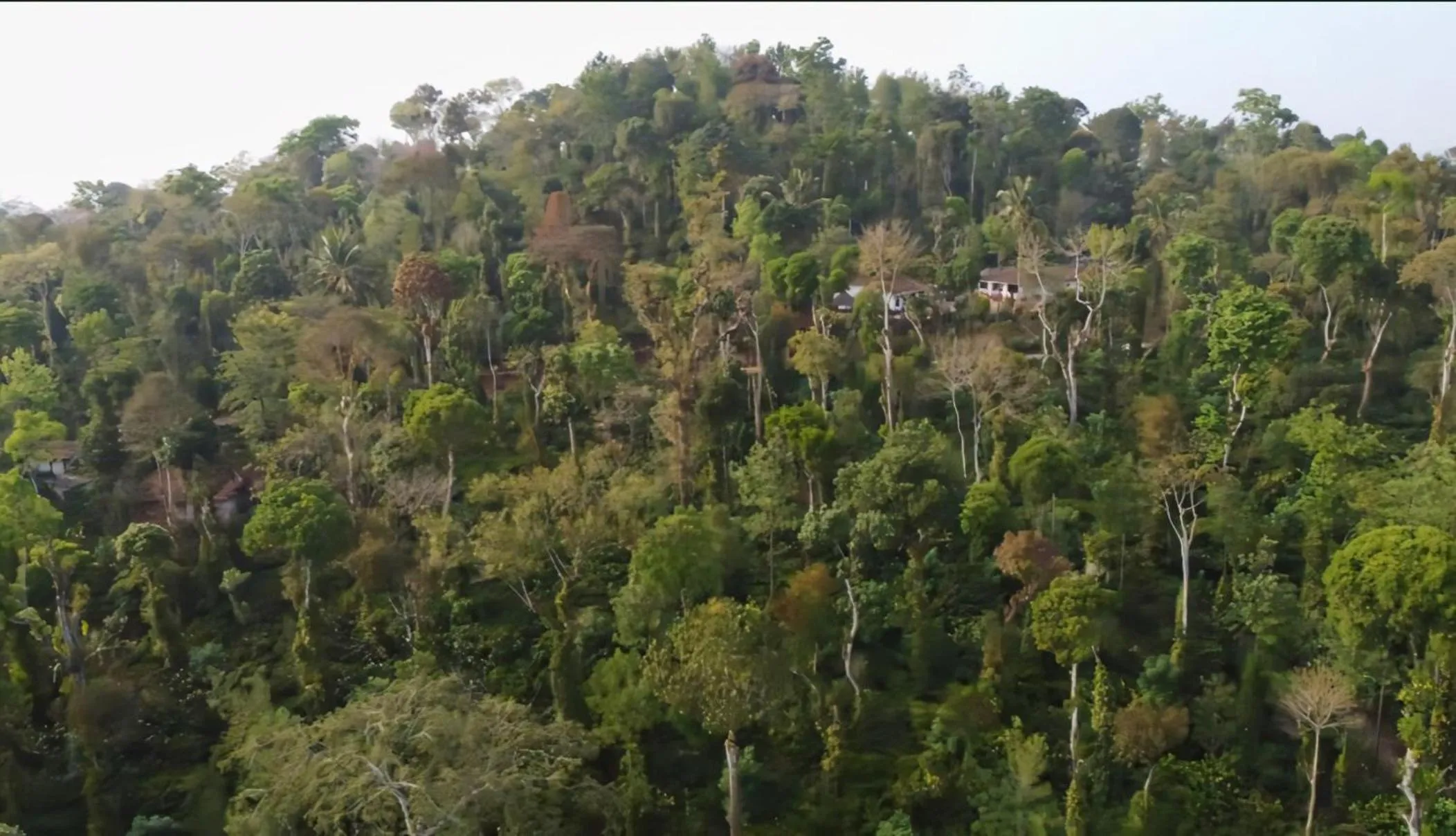 The Blue Mountains Estate Stay