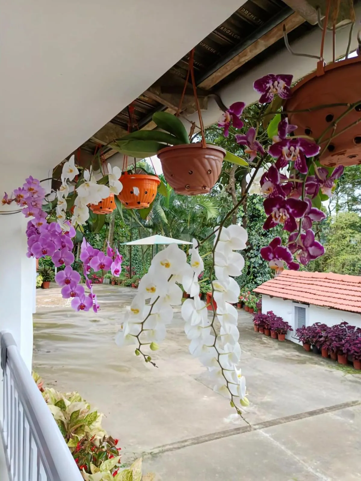 The Blue Mountains Estate Stay