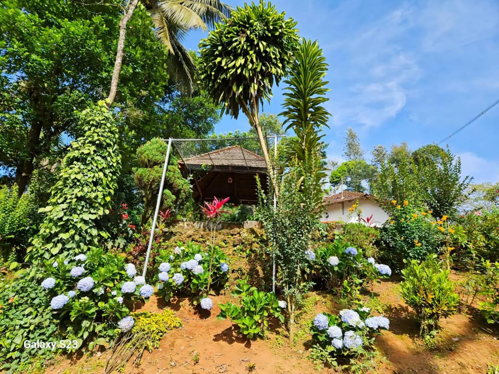 The Blue Mountains Estate Stay