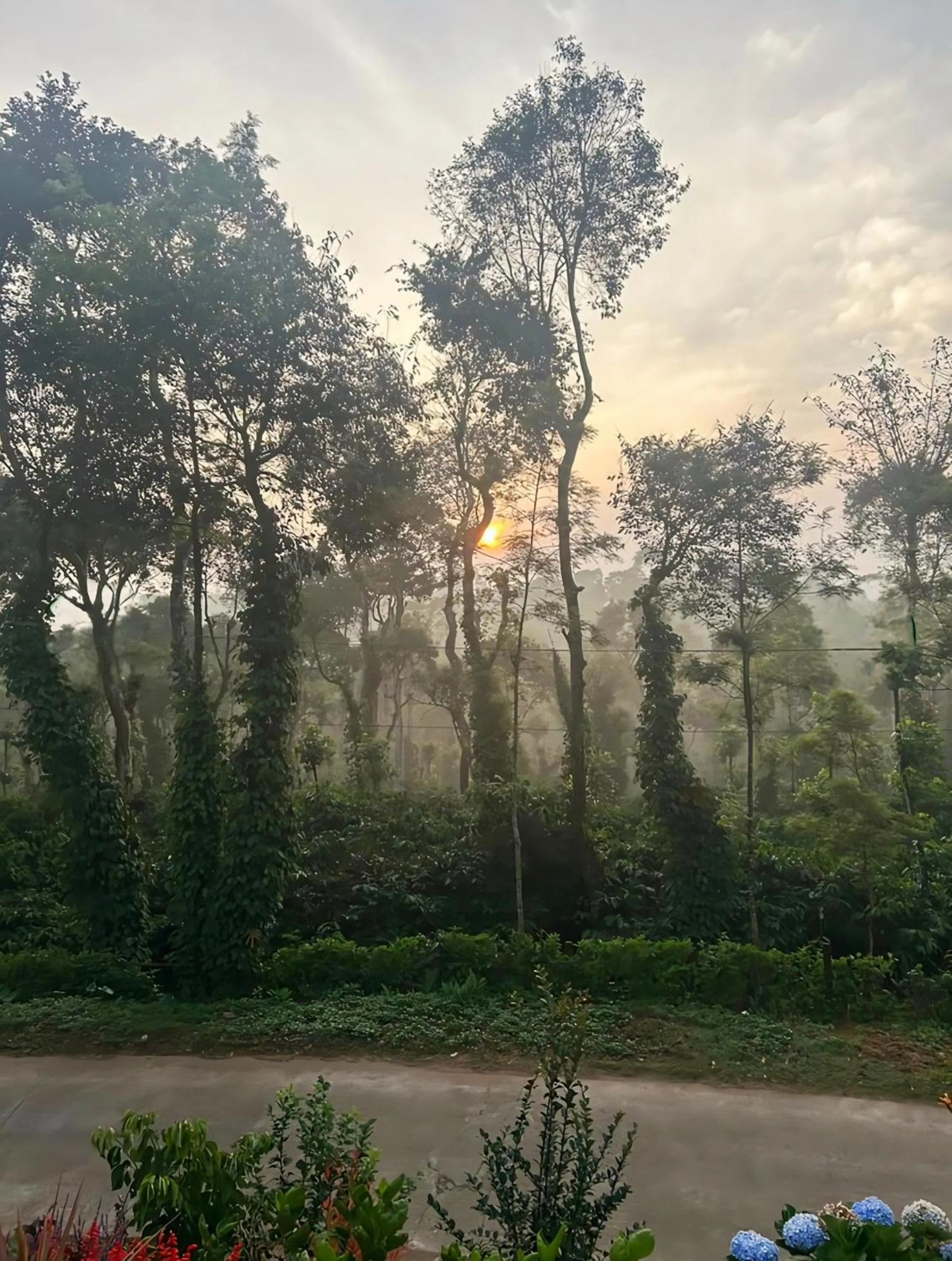 The Blue Mountains Estate Stay