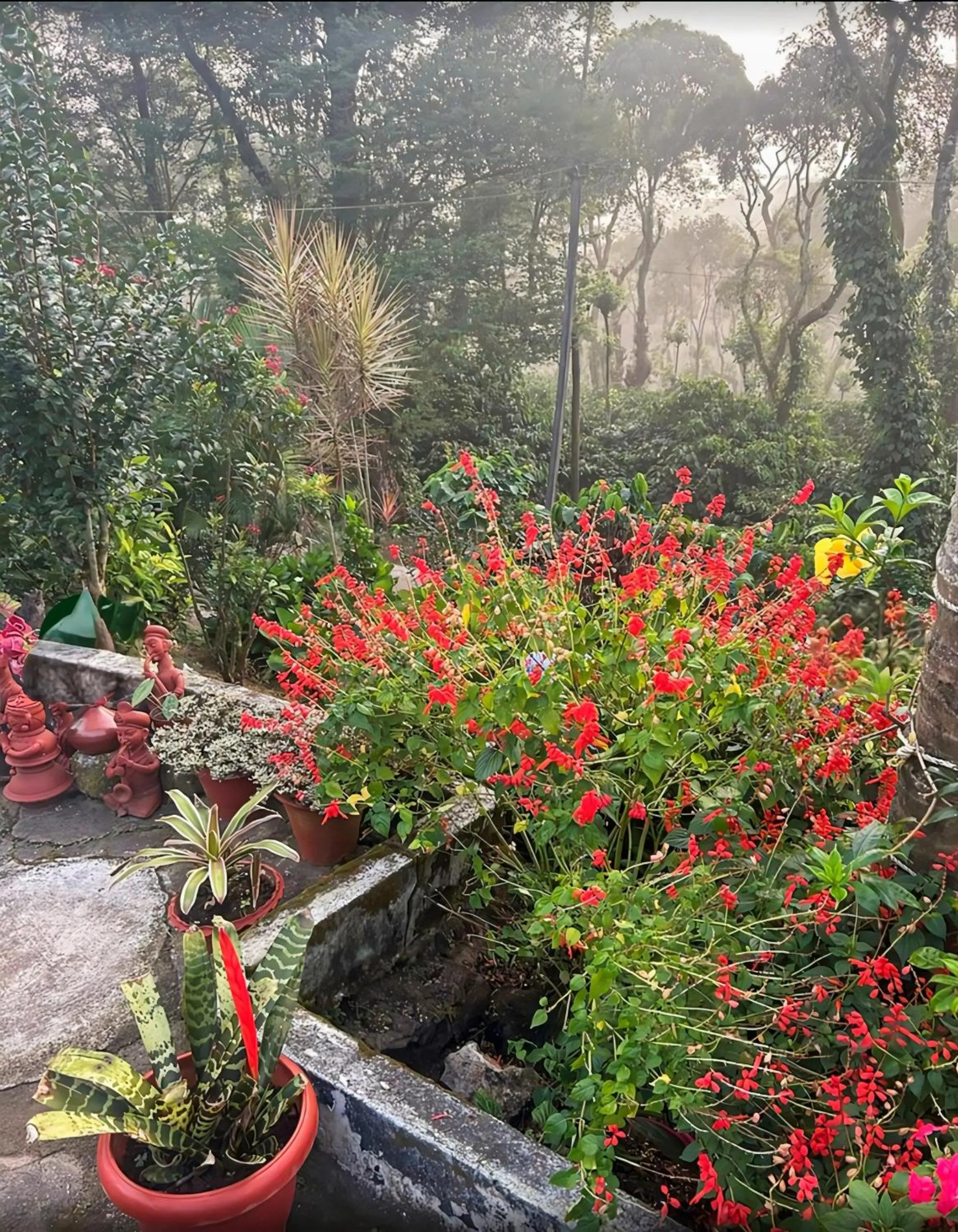 The Blue Mountains Estate Stay