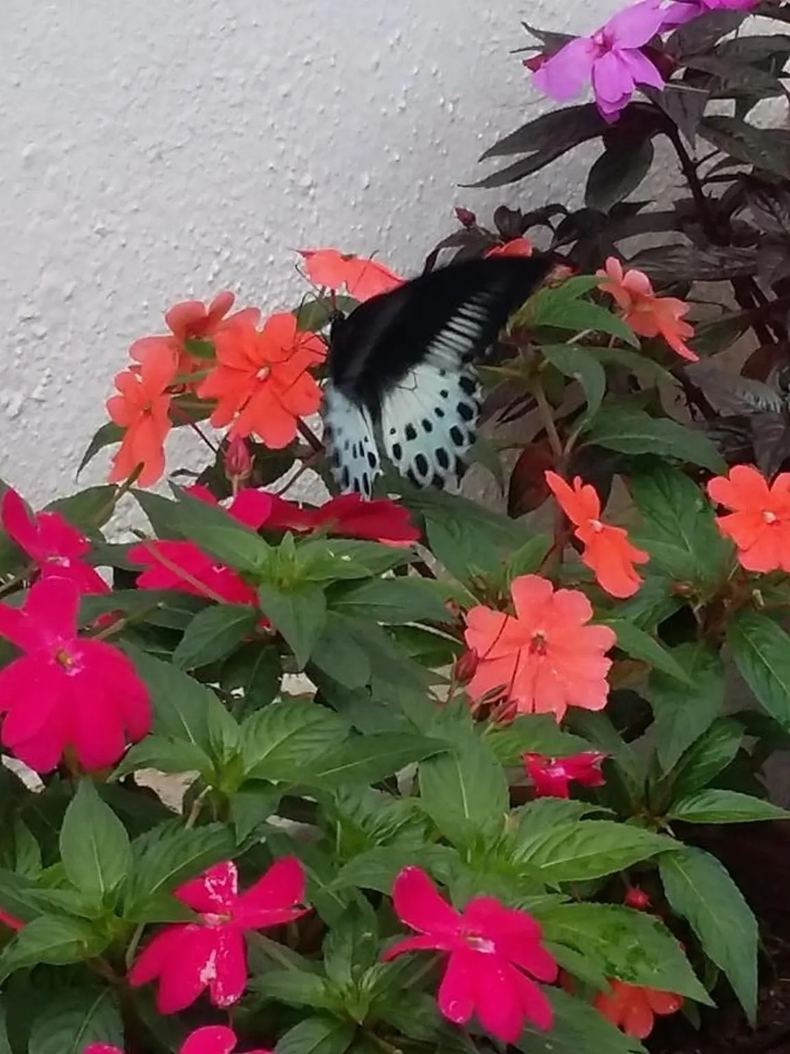 Other in The Blue Mountains Estate Stay