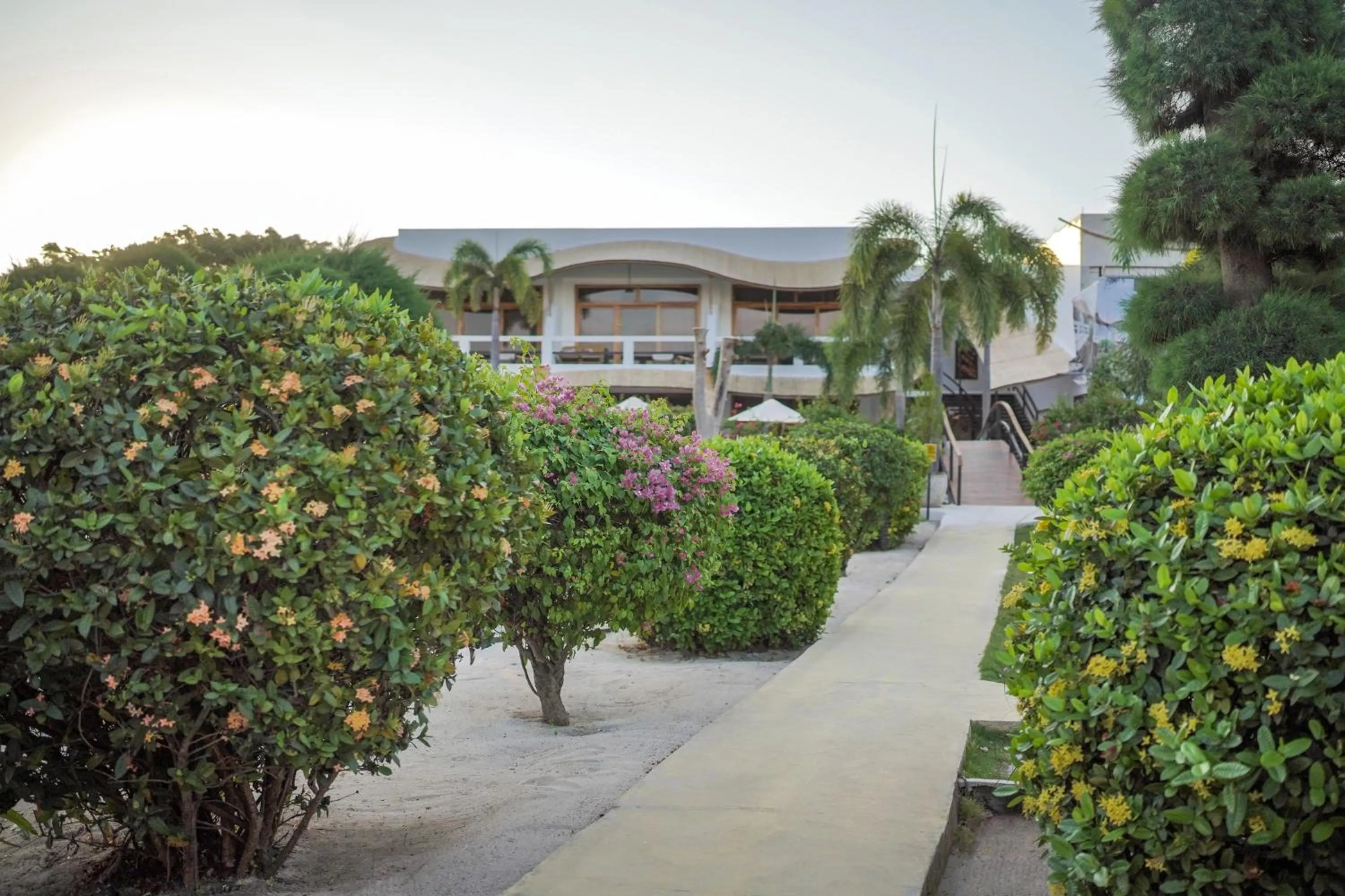 Garden in Pearl of Trawangan